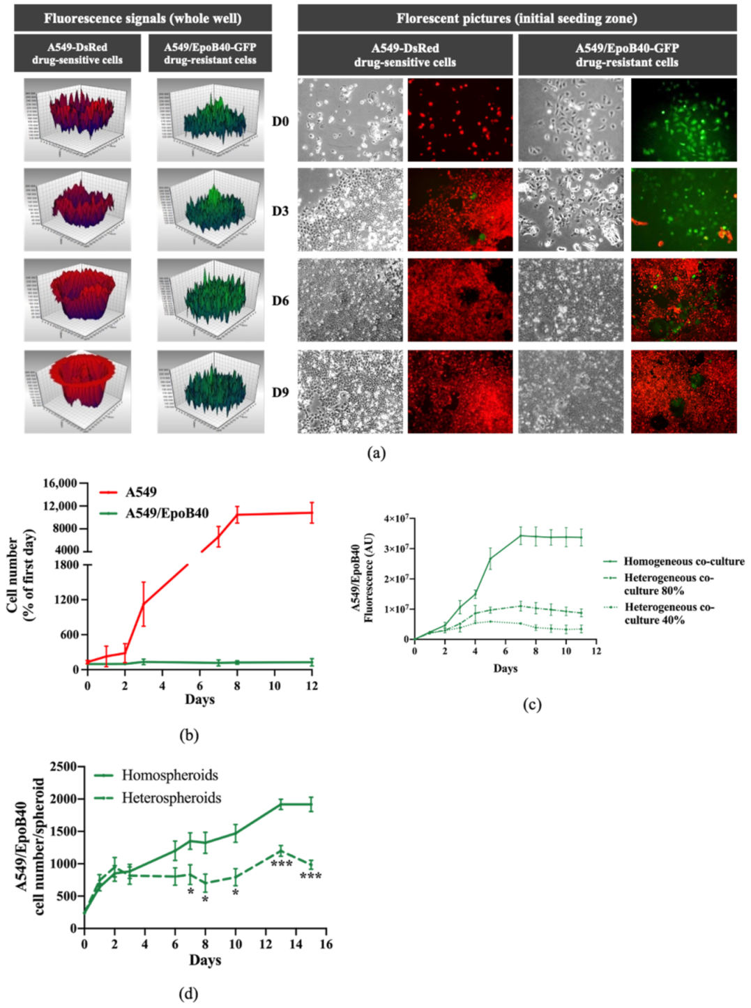 Cancers 13 02239 g001 Cancers 13 02239 g001