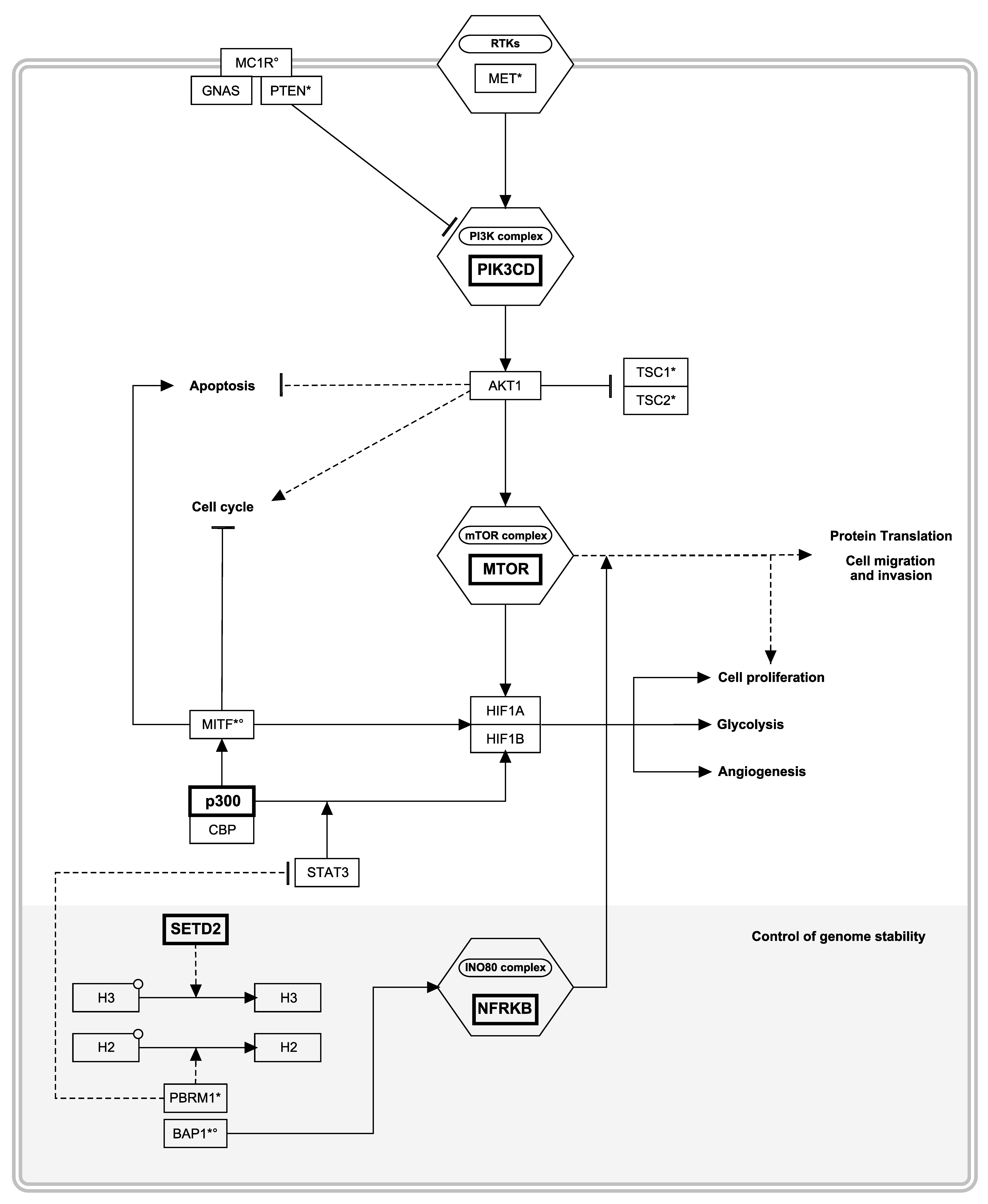 Cancers 13 02243 g002