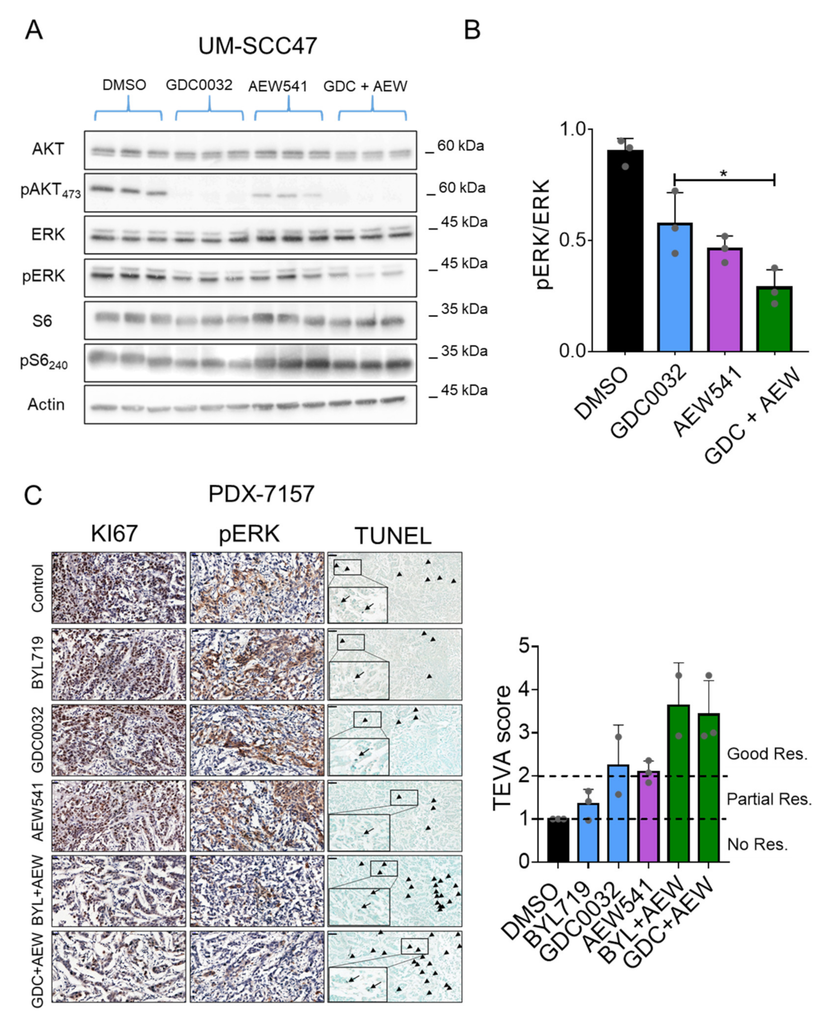 Cancers 13 02250 g005