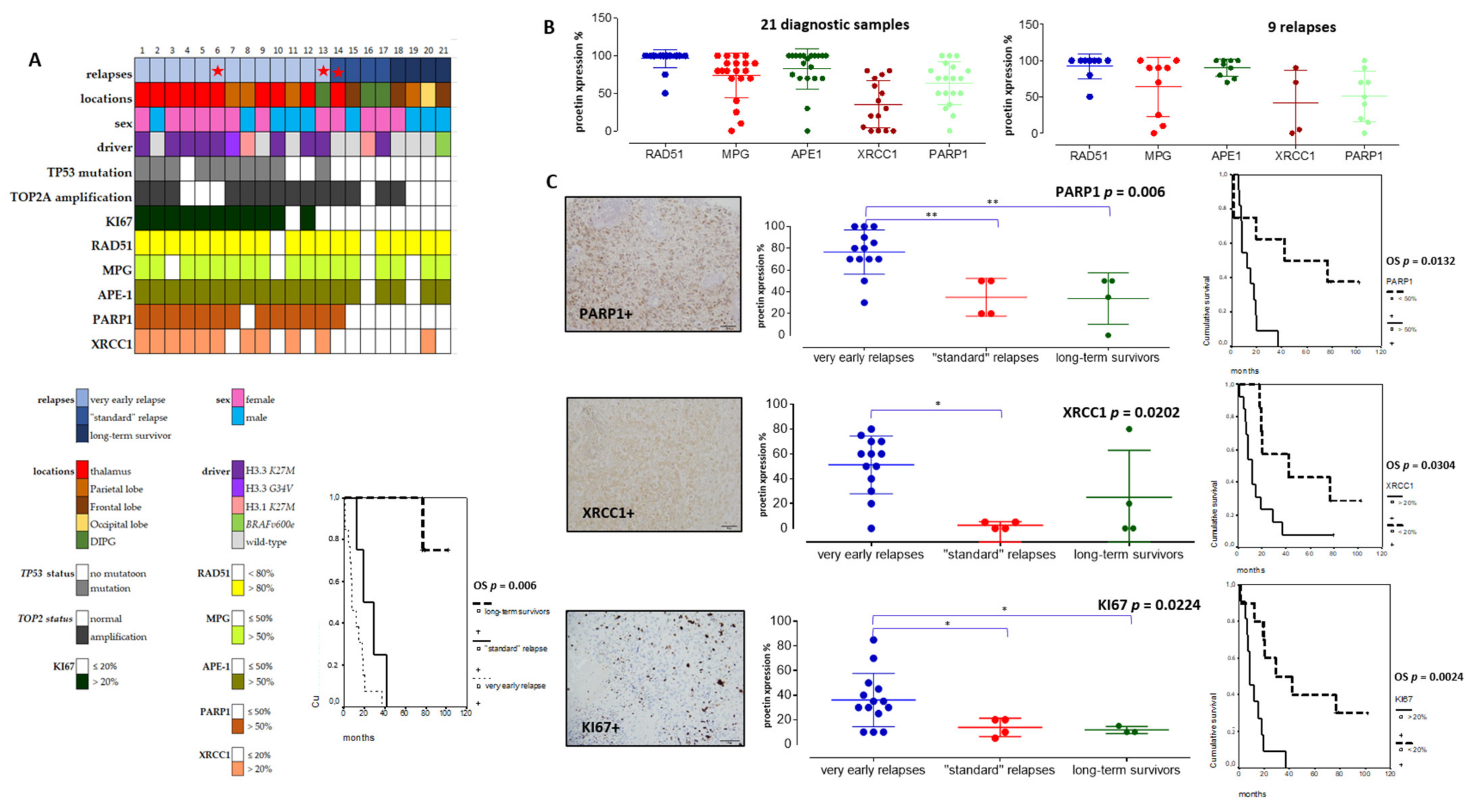 Cancers 13 02252 g004 Cancers 13 02252 g004