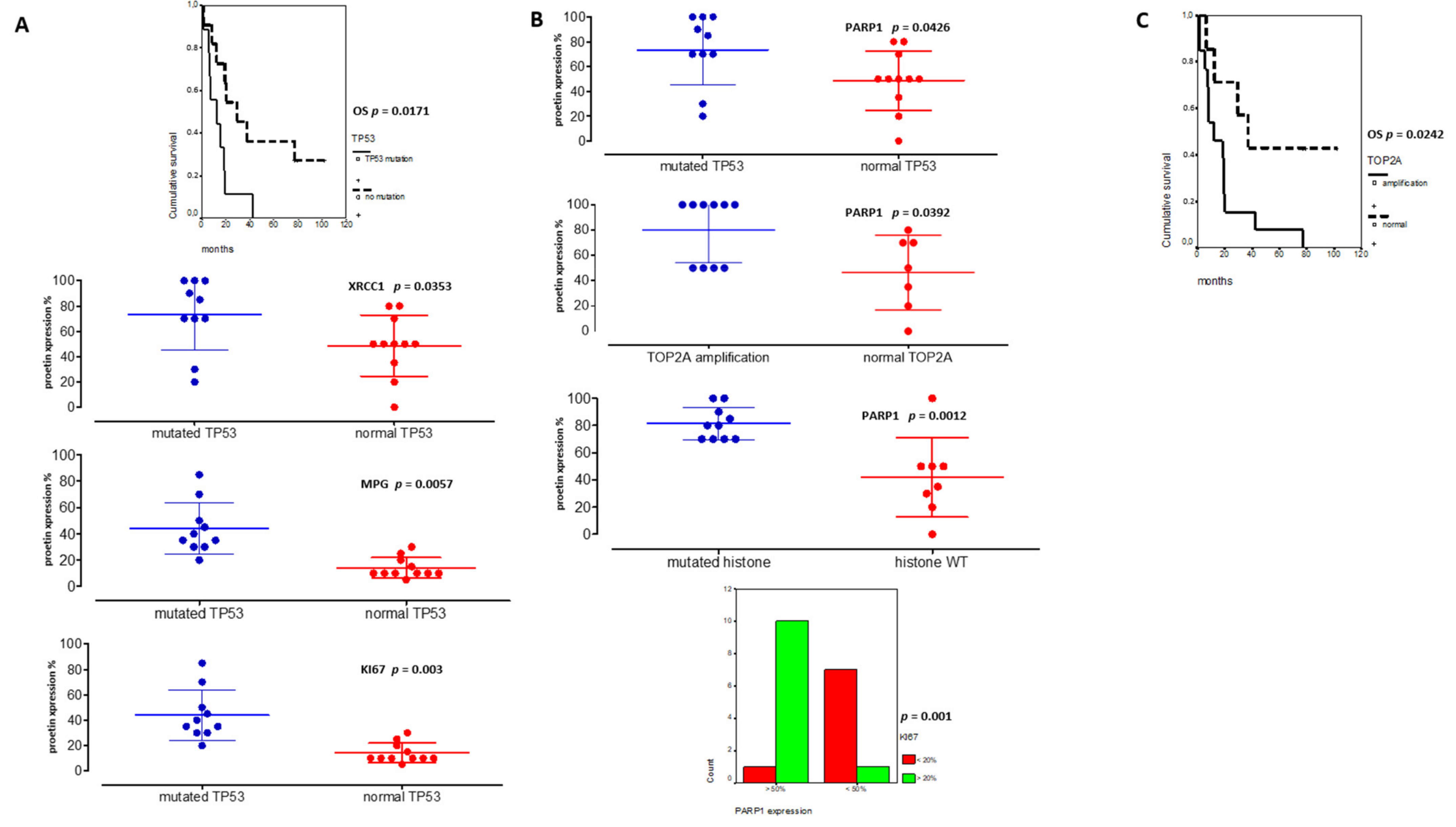 Cancers 13 02252 g005 Cancers 13 02252 g005
