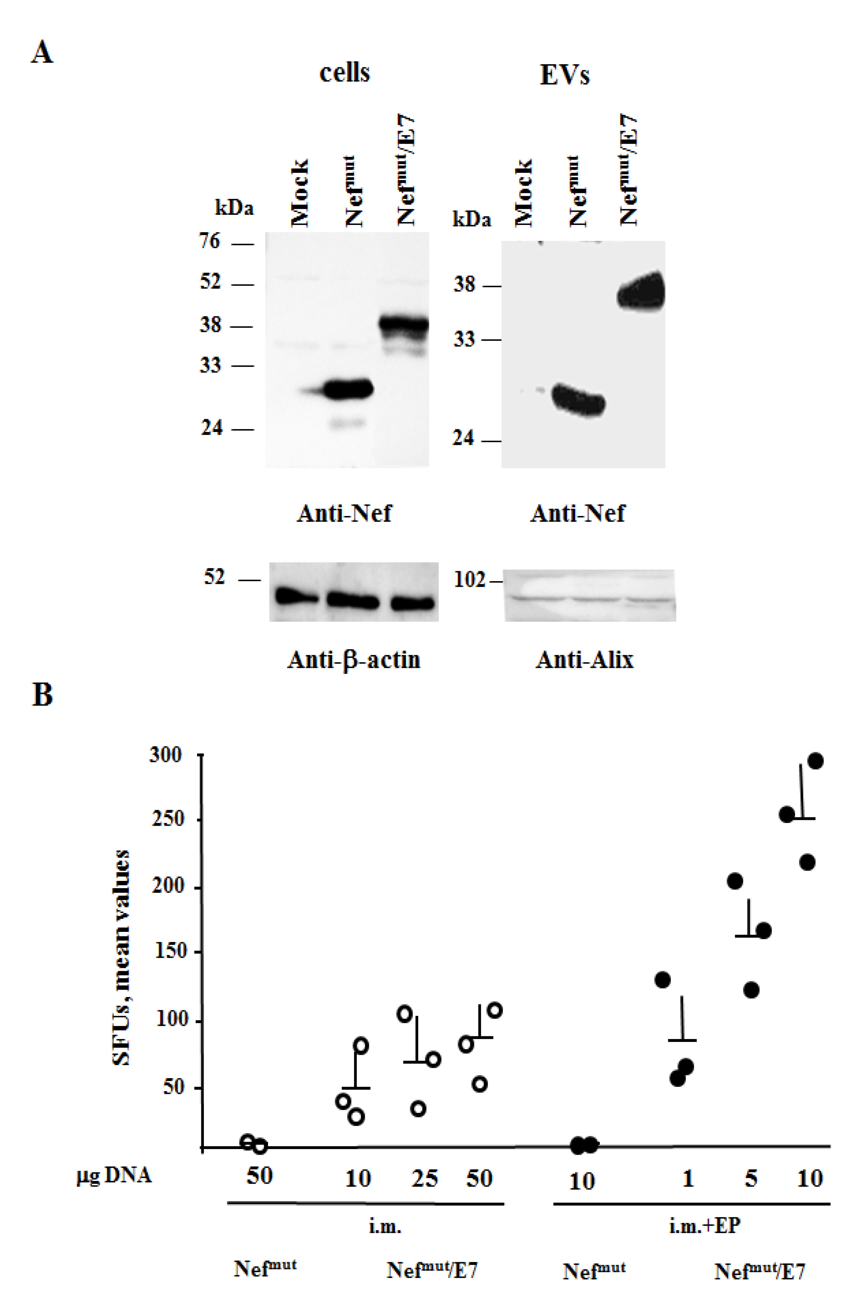 Cancers 13 02263 g001 Cancers 13 02263 g001