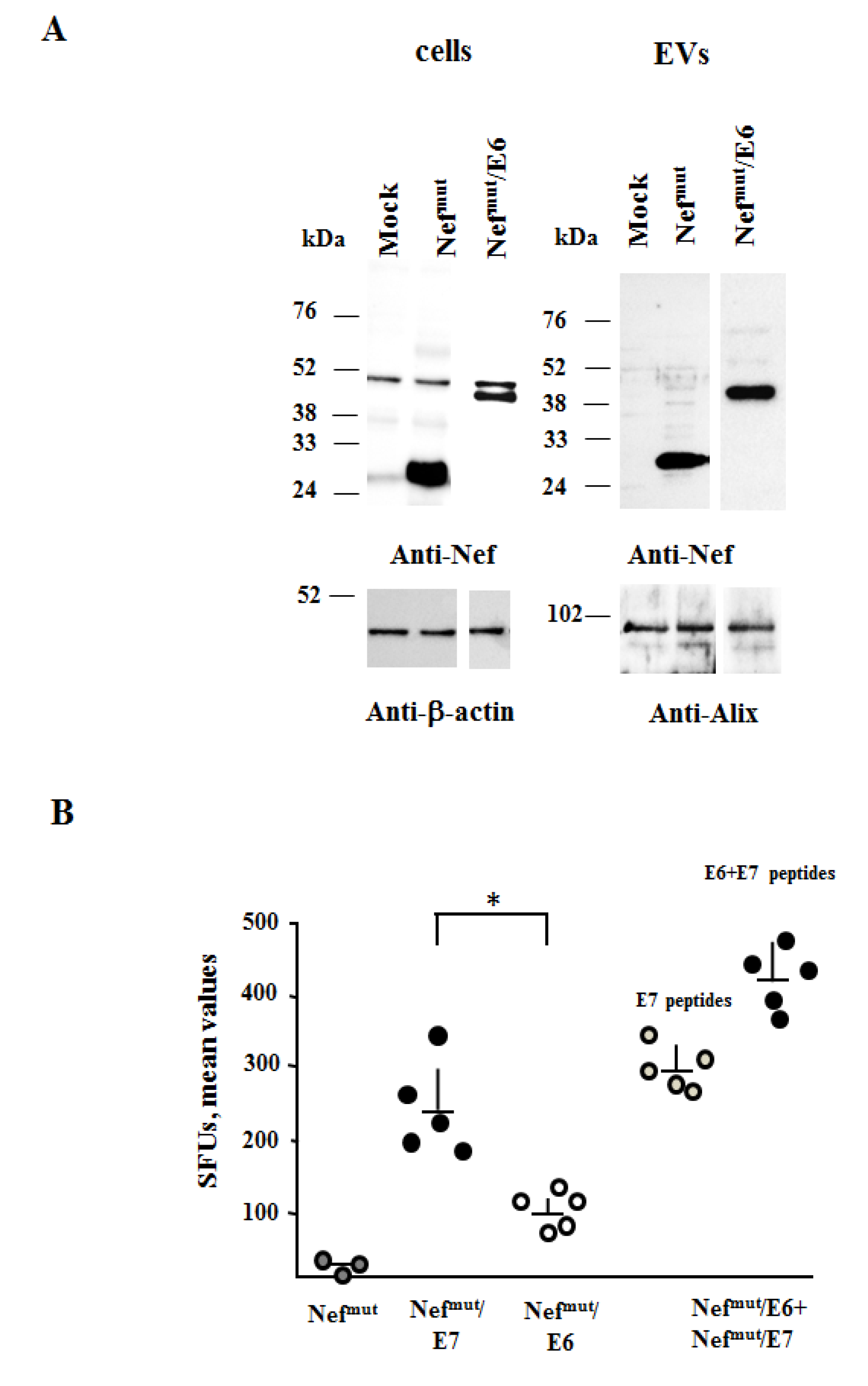 Cancers 13 02263 g002 Cancers 13 02263 g002
