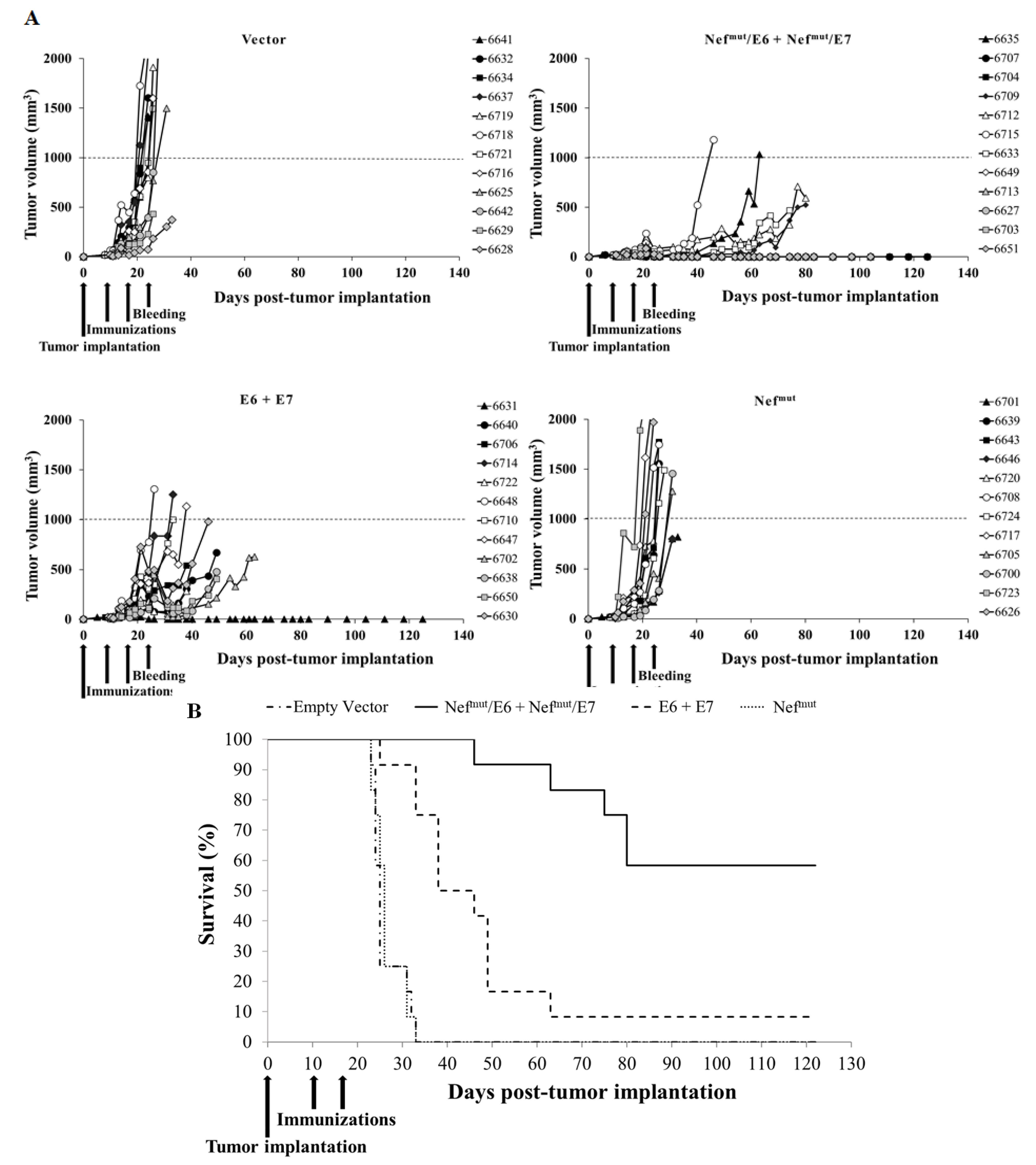 Cancers 13 02263 g005 Cancers 13 02263 g005