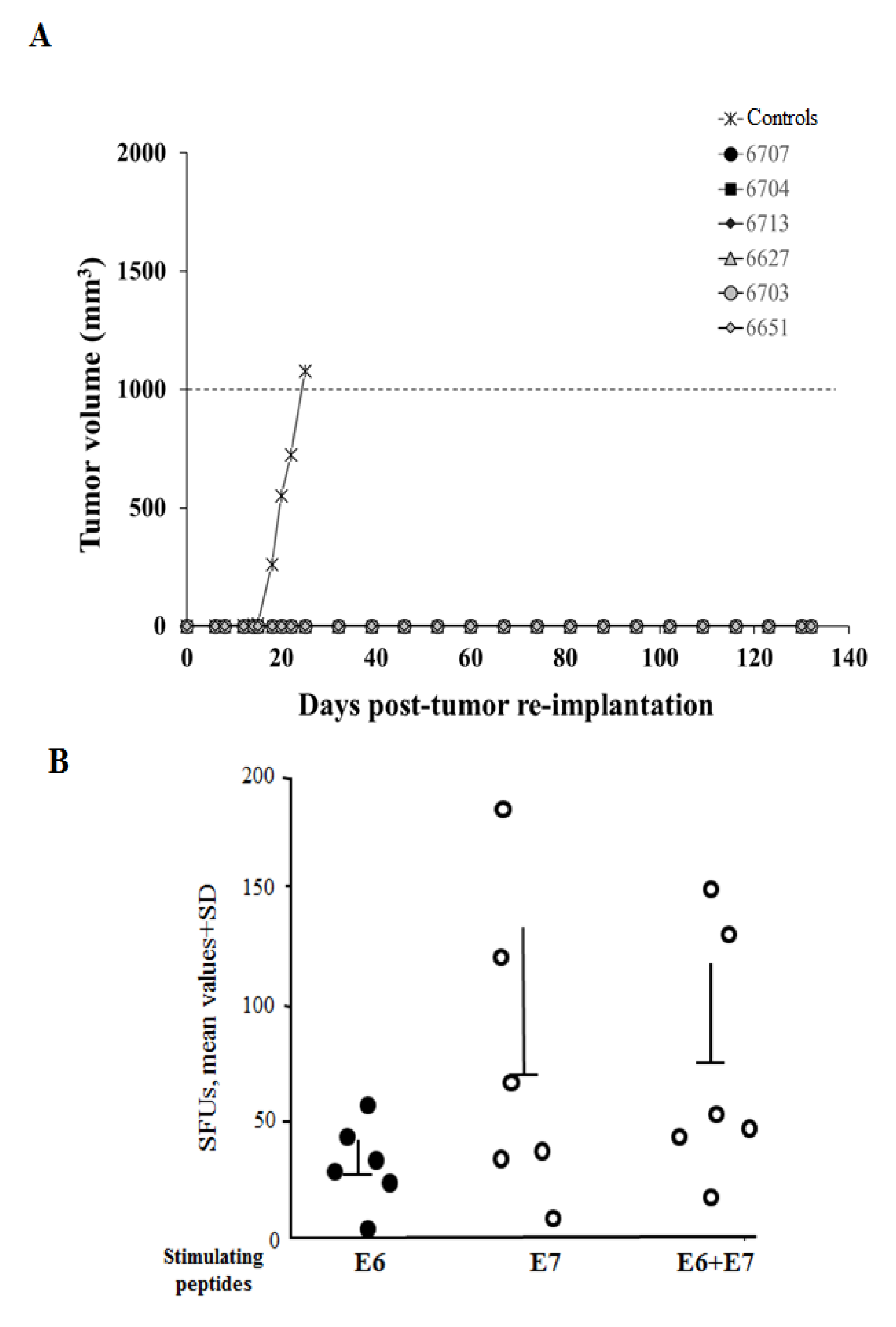Cancers 13 02263 g006 Cancers 13 02263 g006