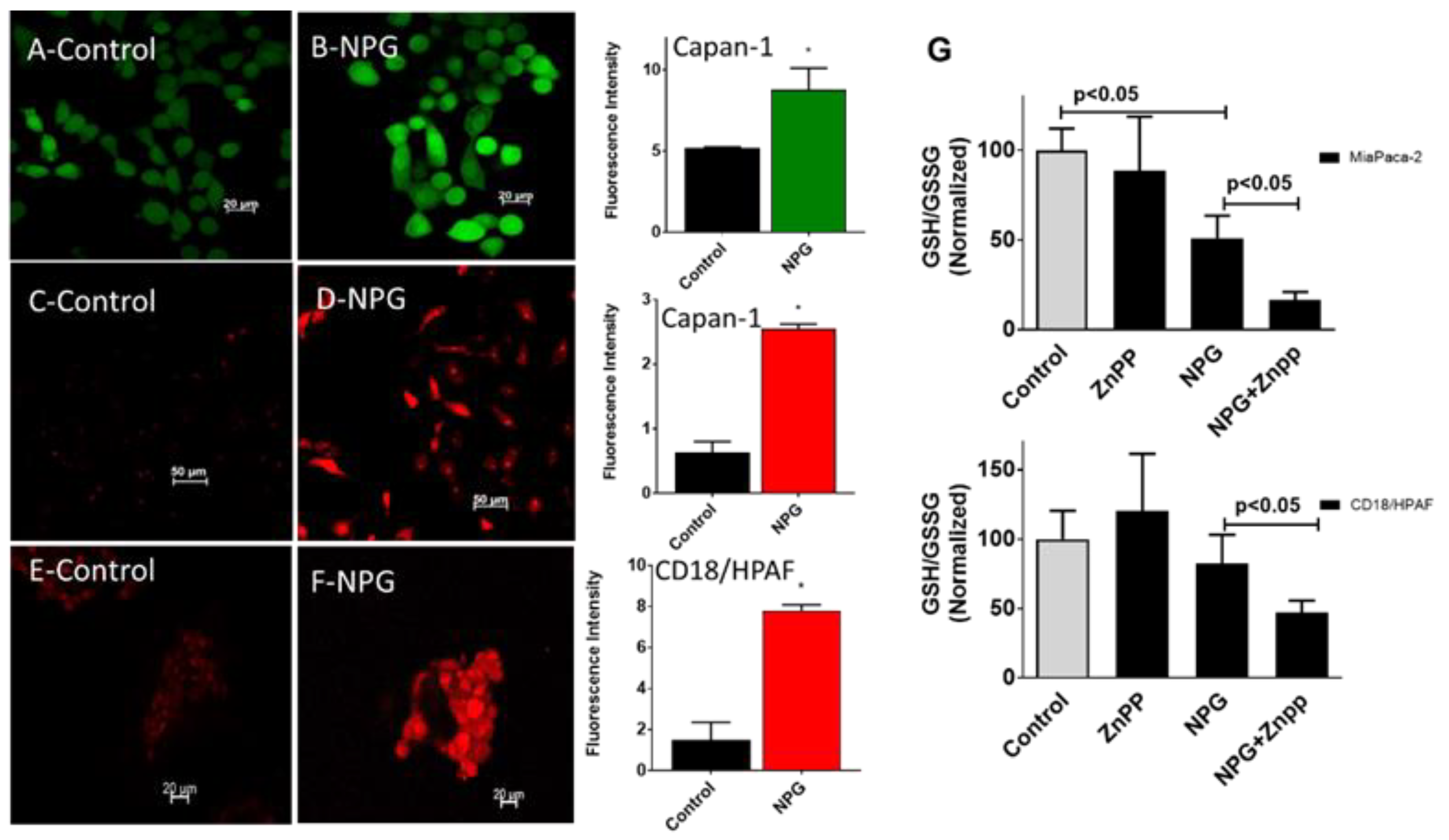 Cancers 13 02264 g005