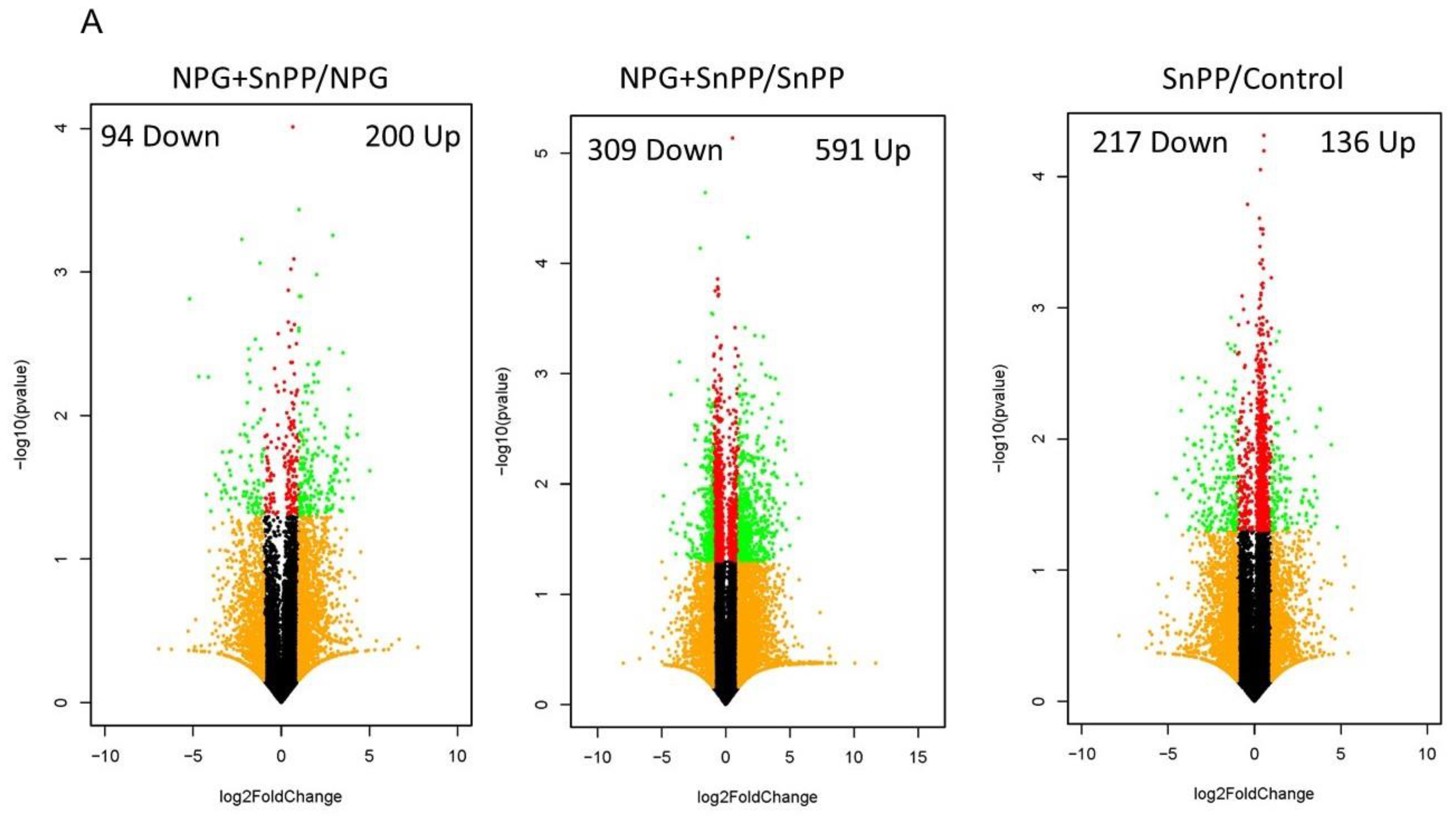 Cancers 13 02264 g008a