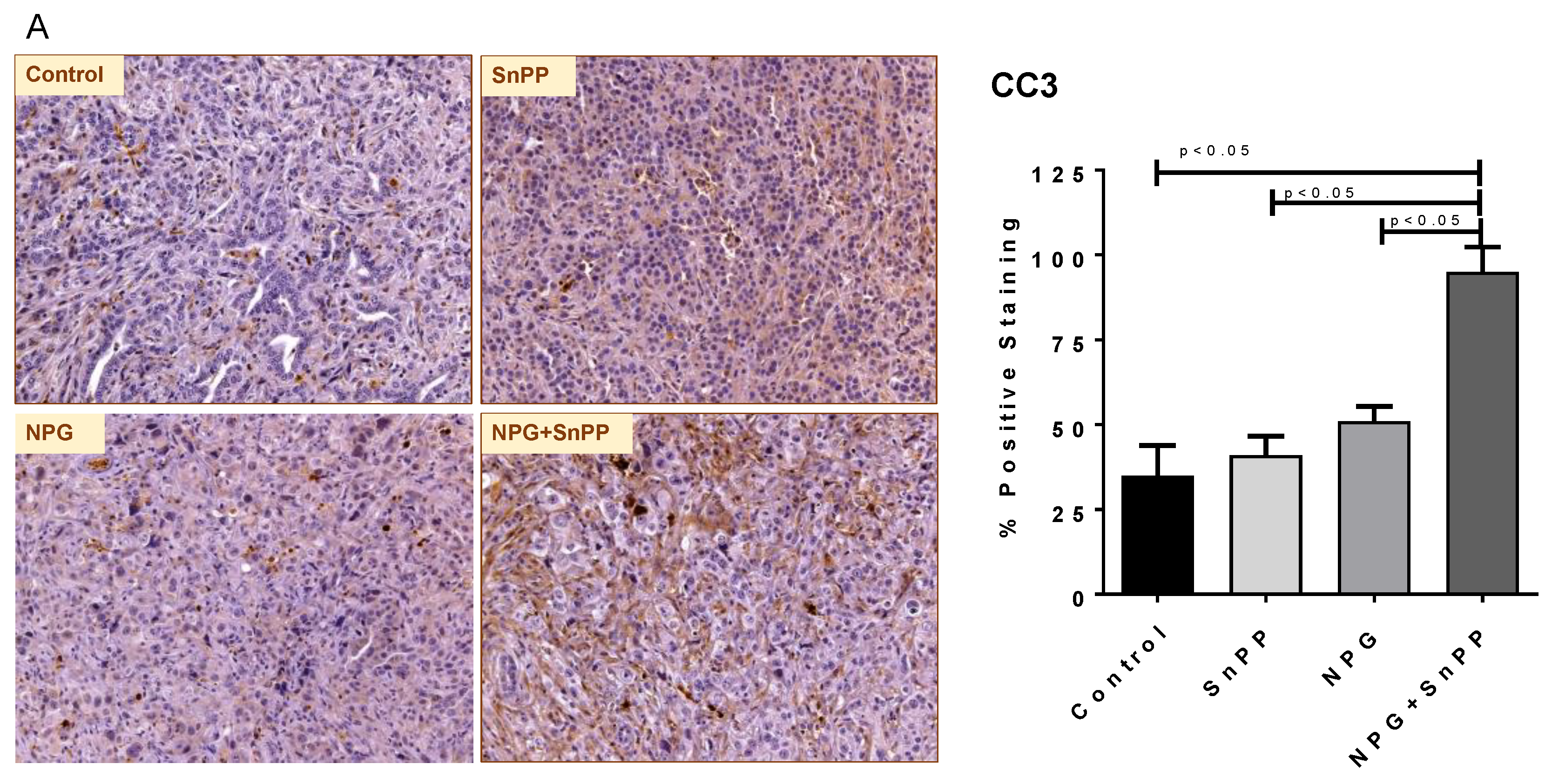 Cancers 13 02264 g009a