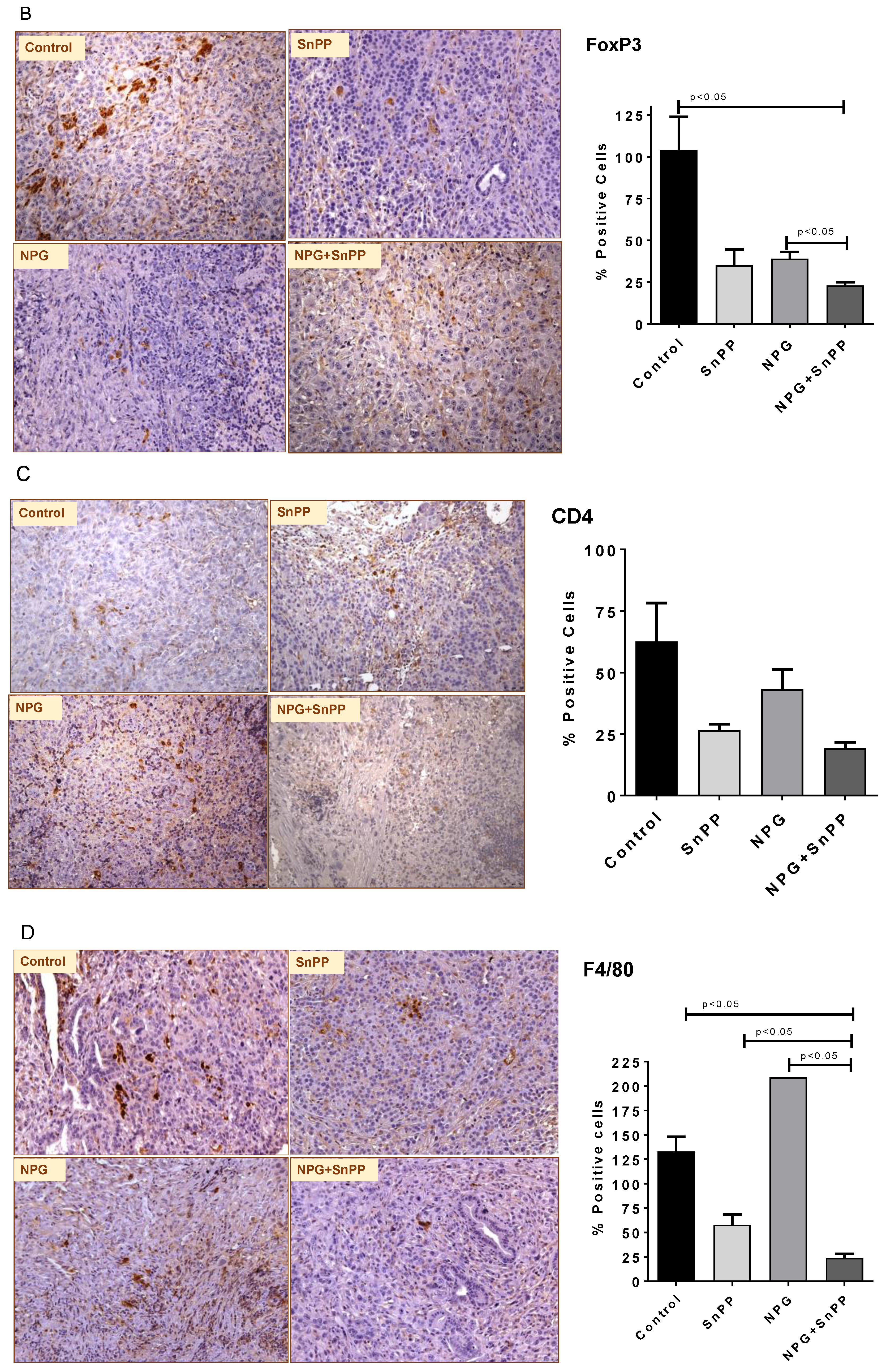 Cancers 13 02264 g009b