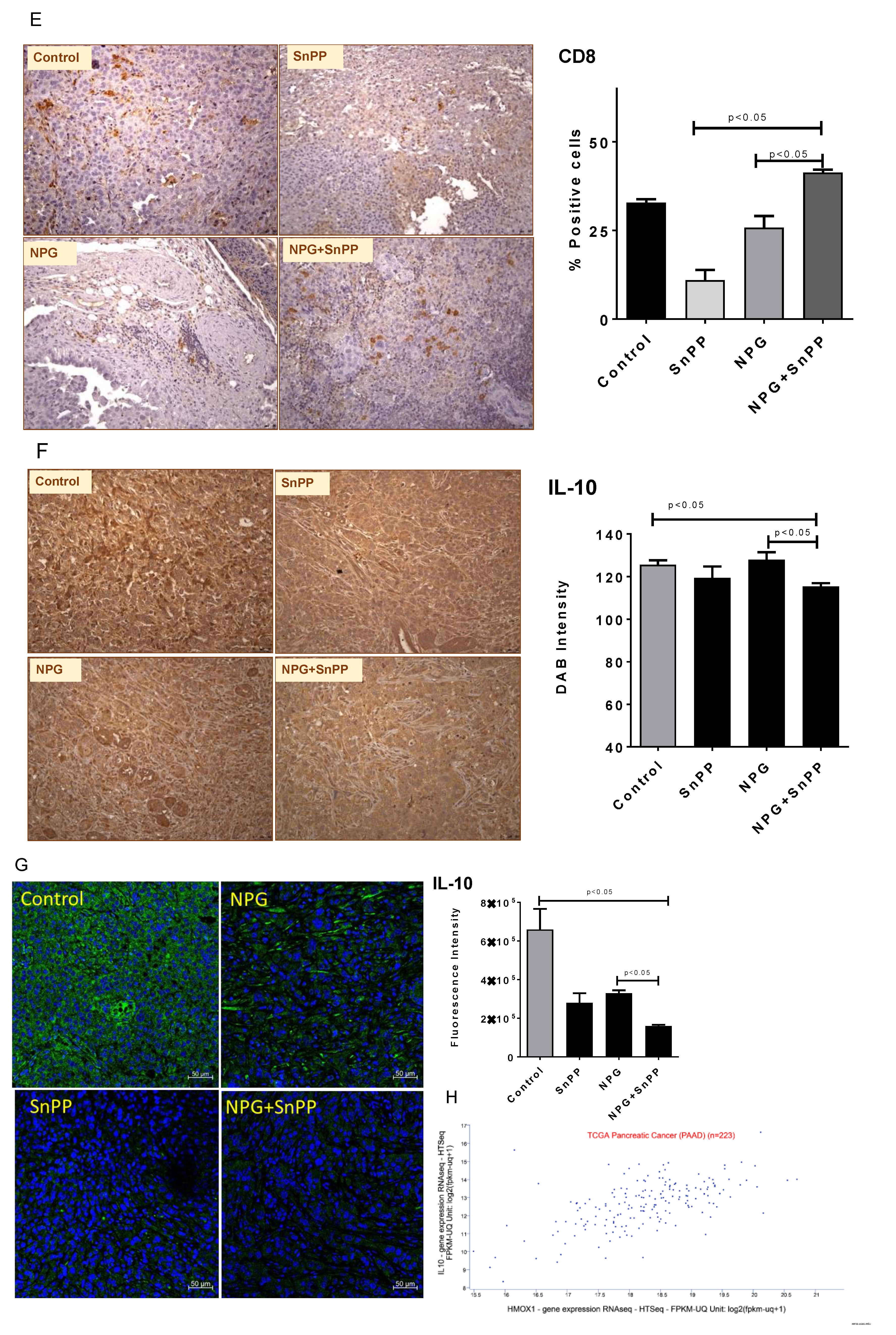 Cancers 13 02264 g009c