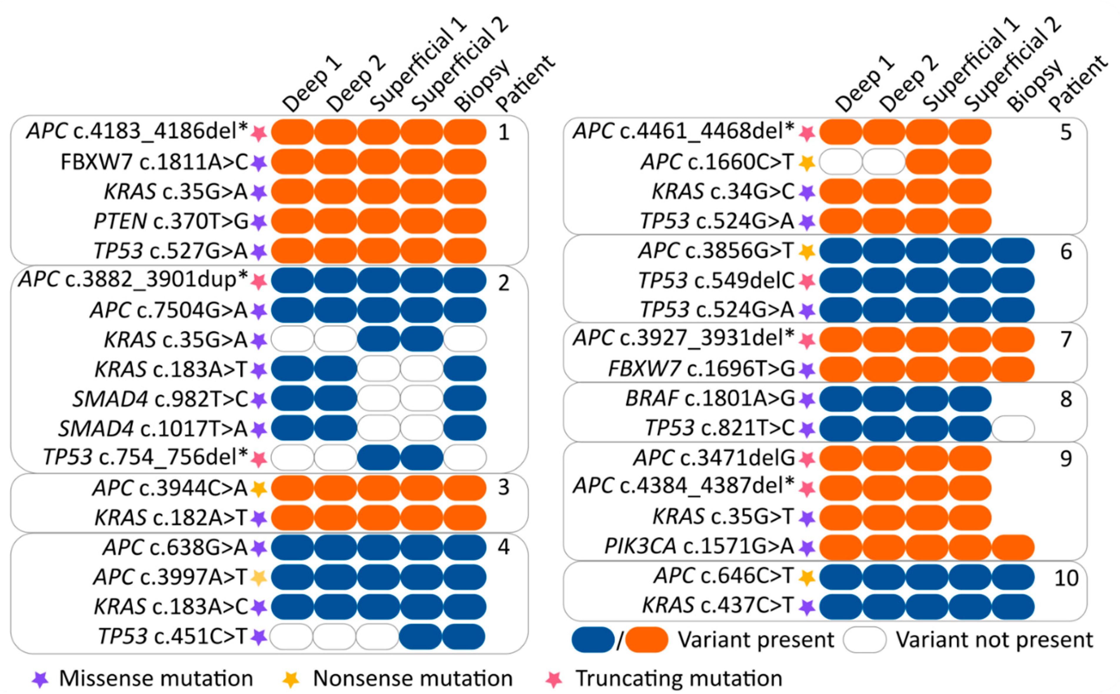 Cancers 13 02271 g003 Cancers 13 02271 g003
