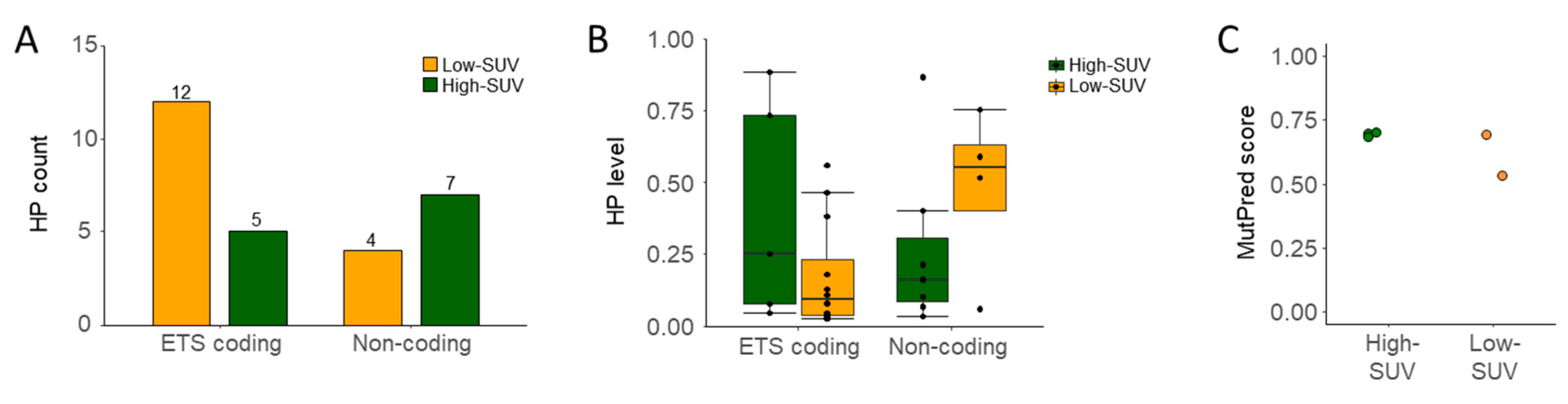 Cancers 13 02273 g005 Cancers 13 02273 g005