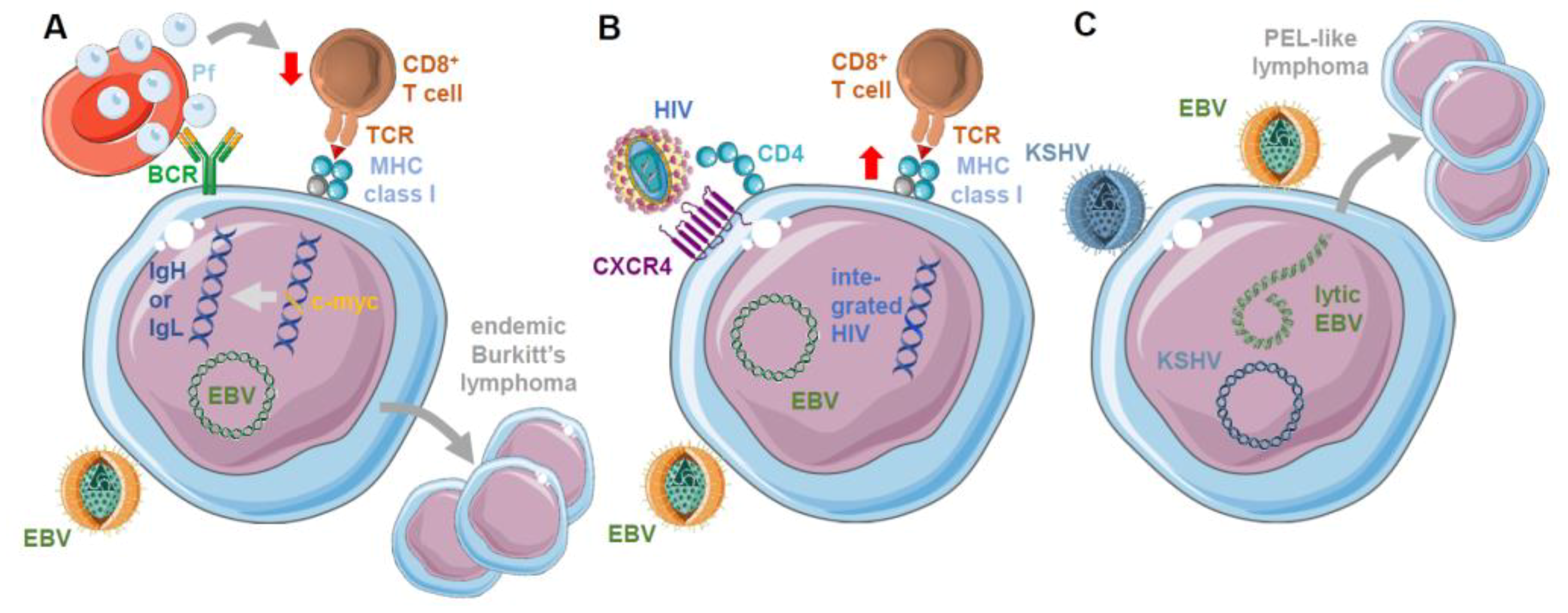 Cancers 13 02275 g002