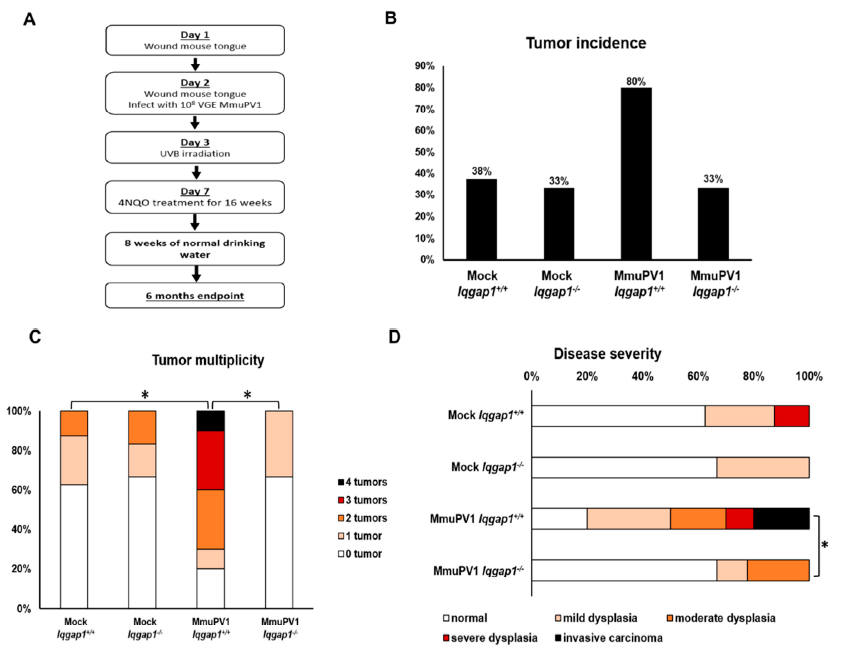 Cancers 13 02276 g003