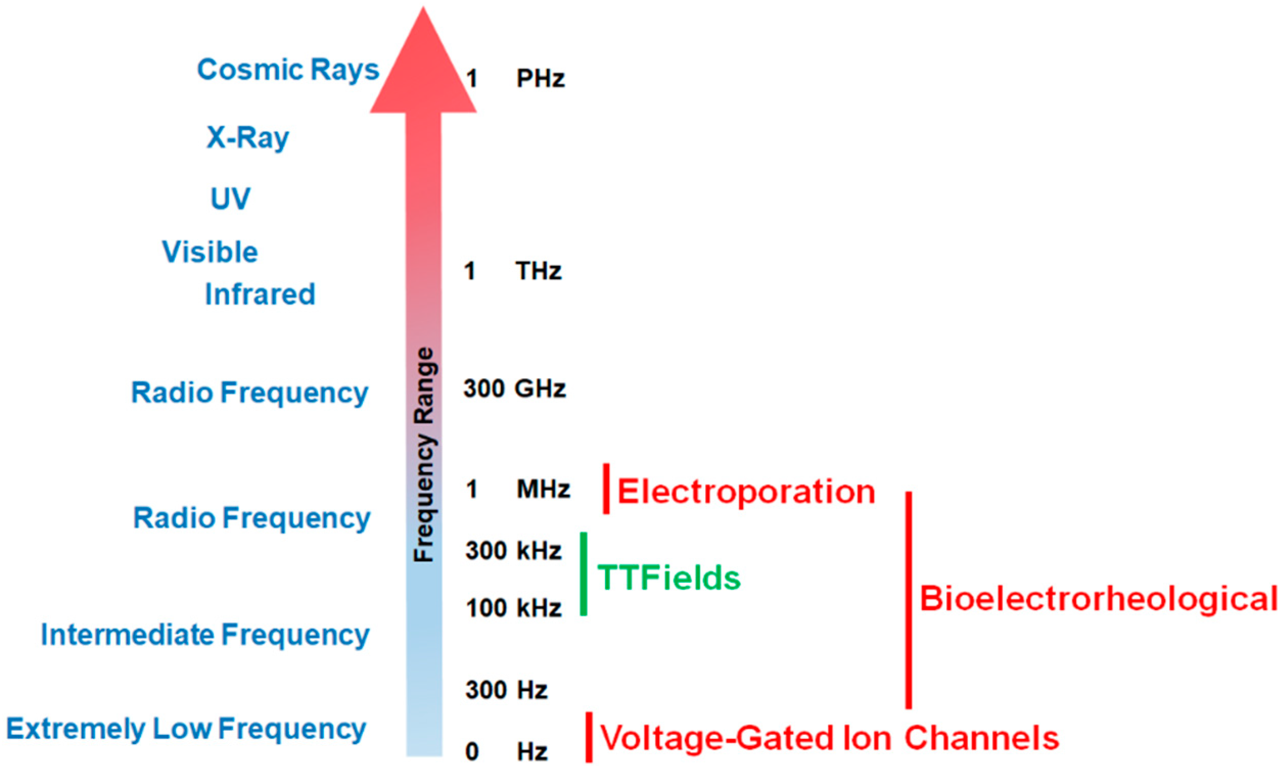 Cancers 13 02283 g001 Cancers 13 02283 g001