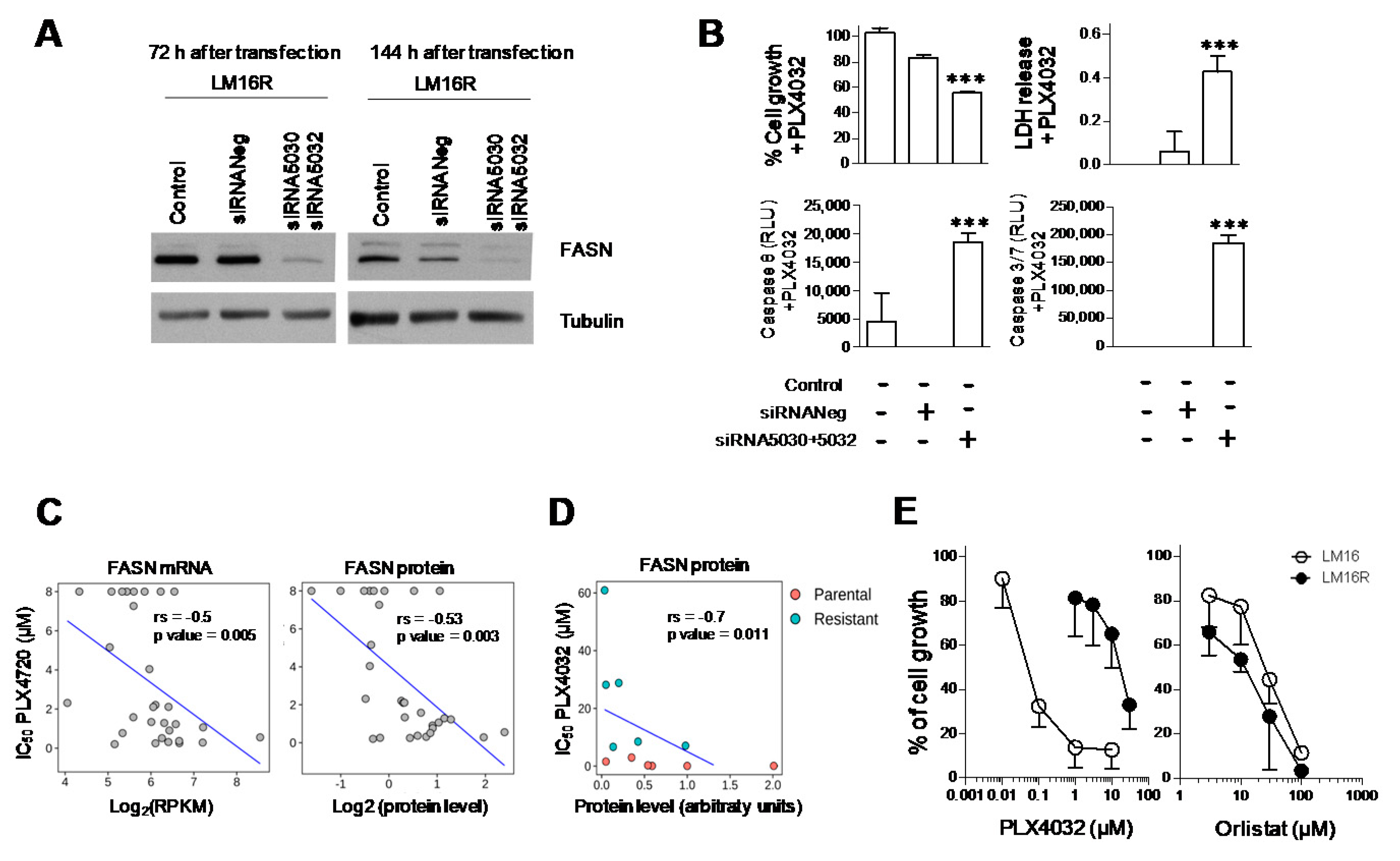 Cancers 13 02284 g001