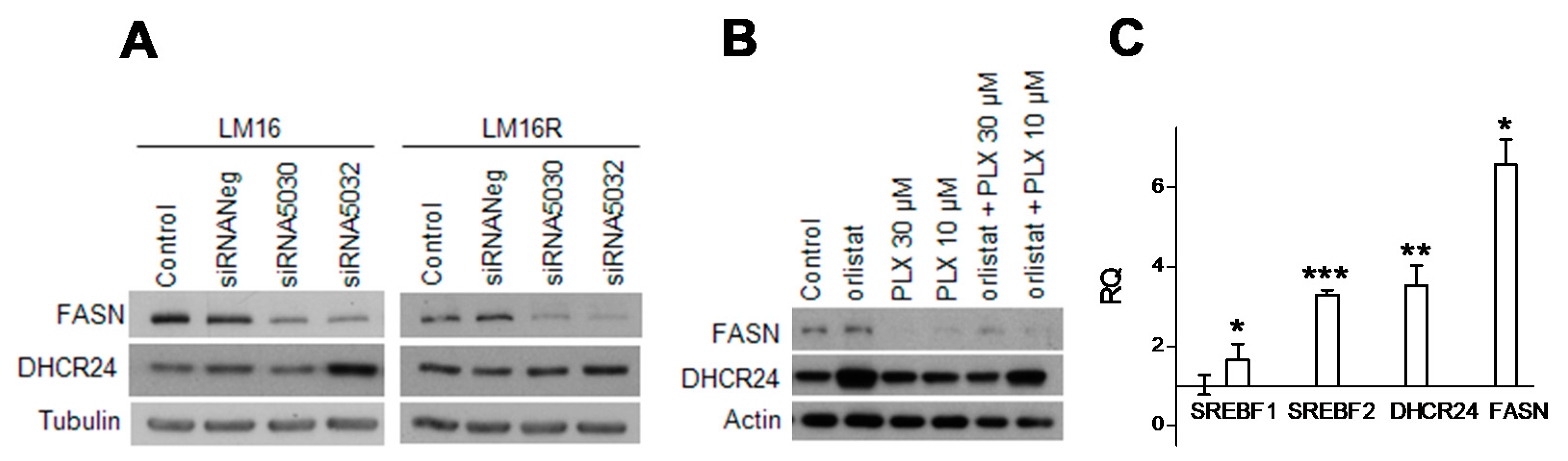 Cancers 13 02284 g003