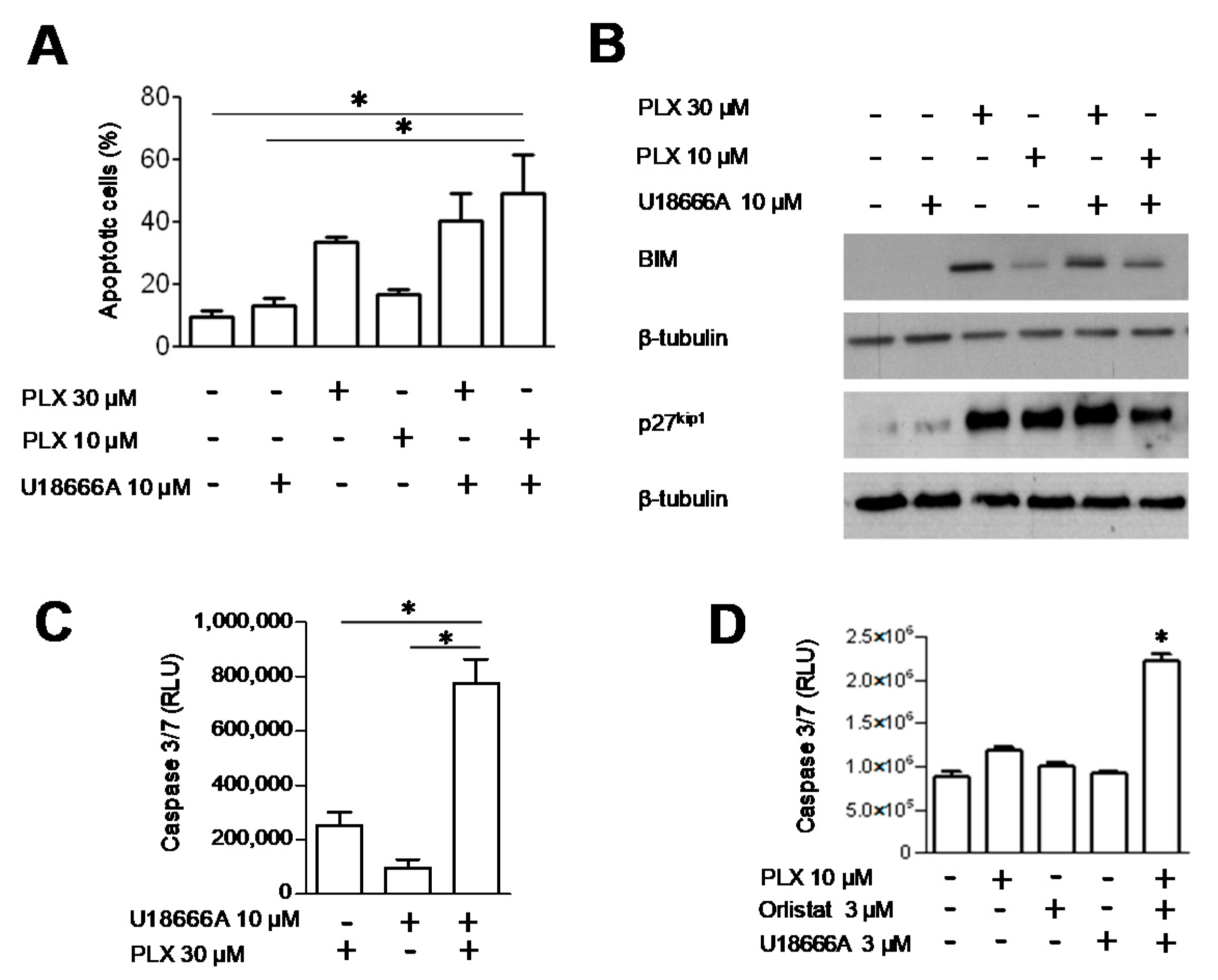 Cancers 13 02284 g004