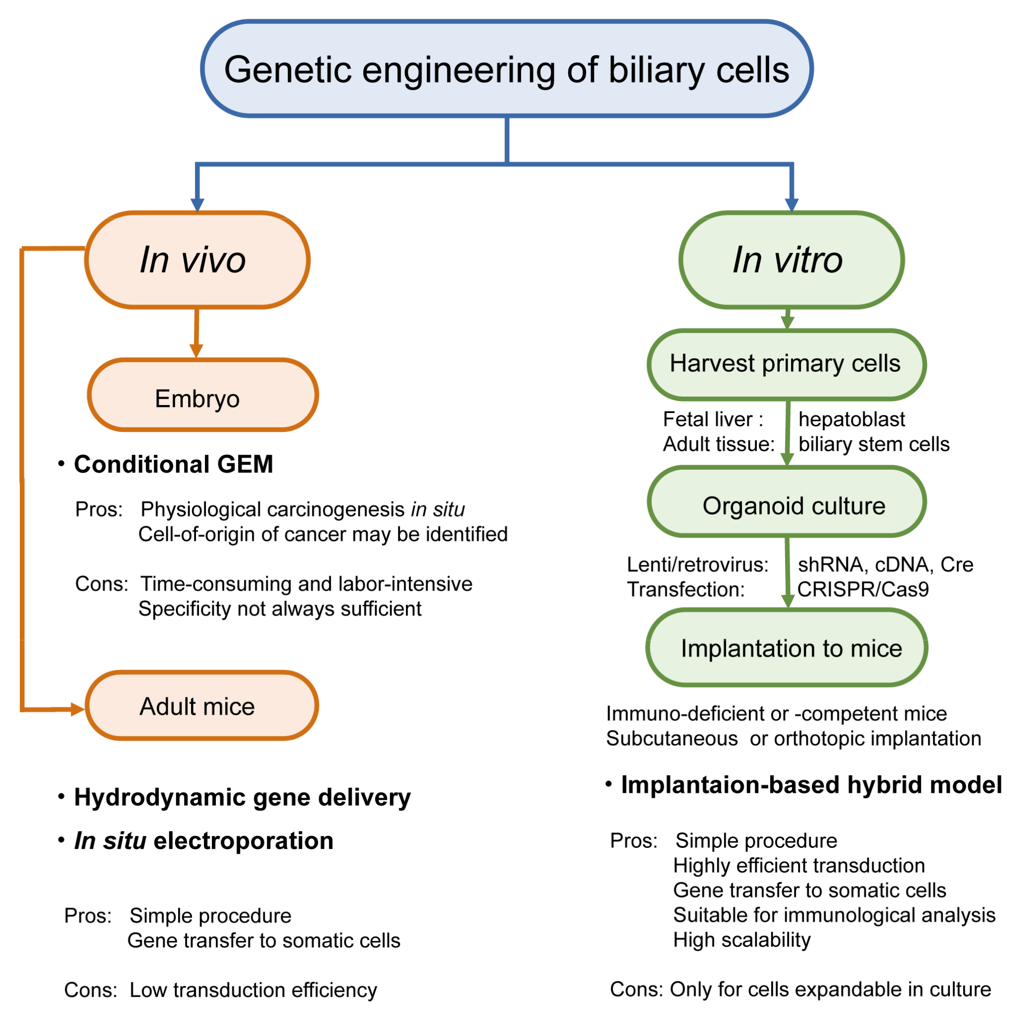 Cancers 13 02292 g006 Cancers 13 02292 g006