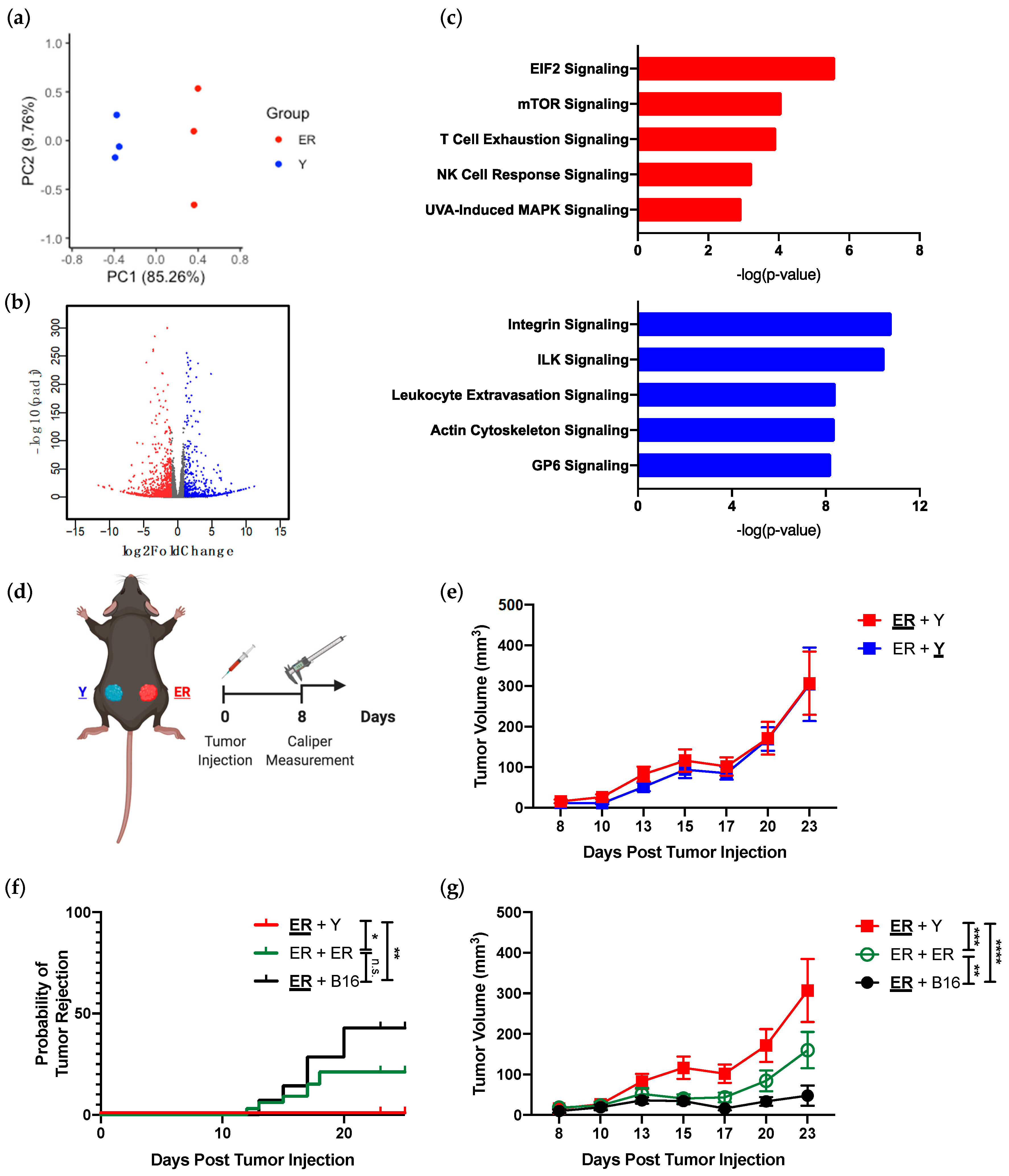 Cancers 13 02293 g001