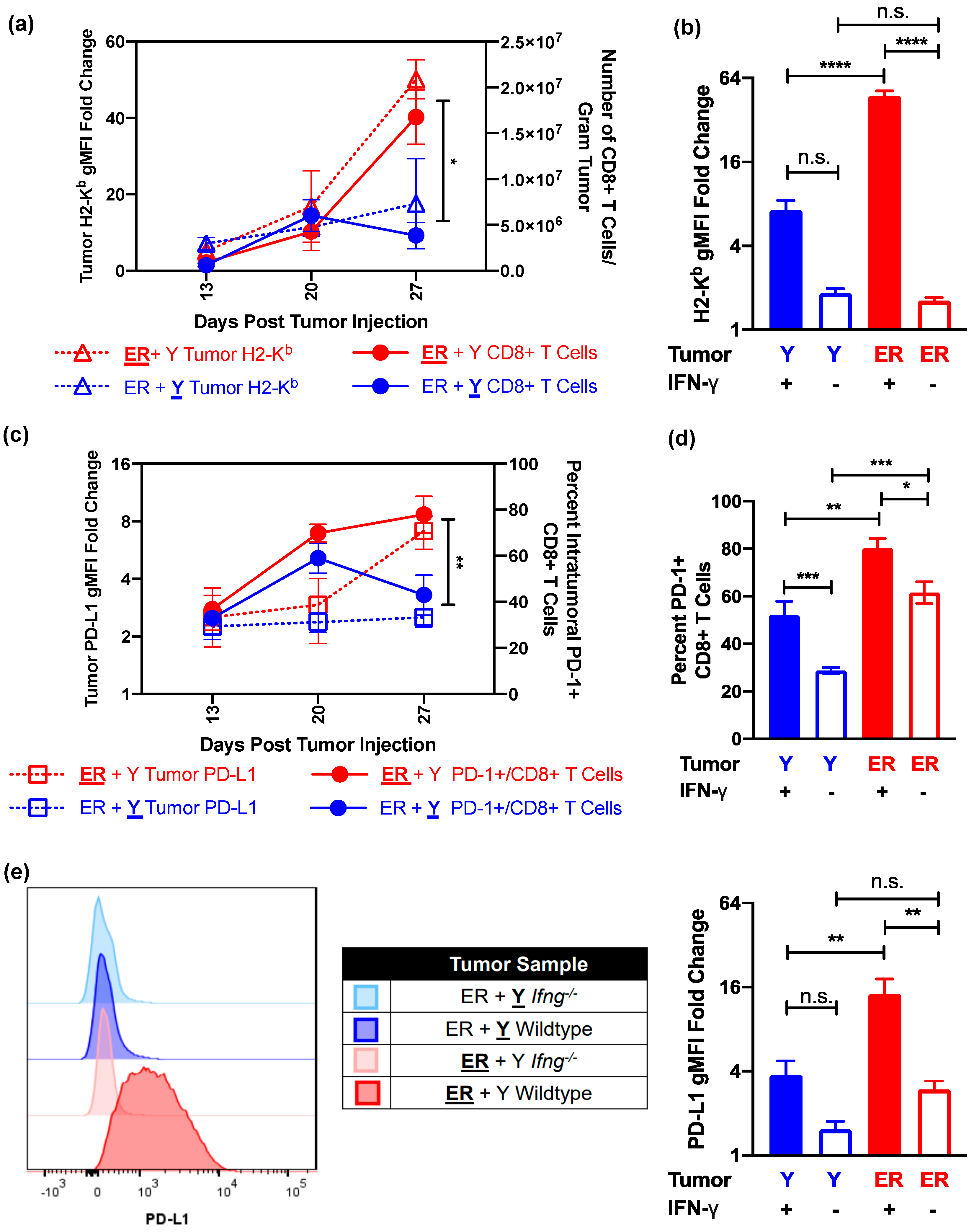 Cancers 13 02293 g005