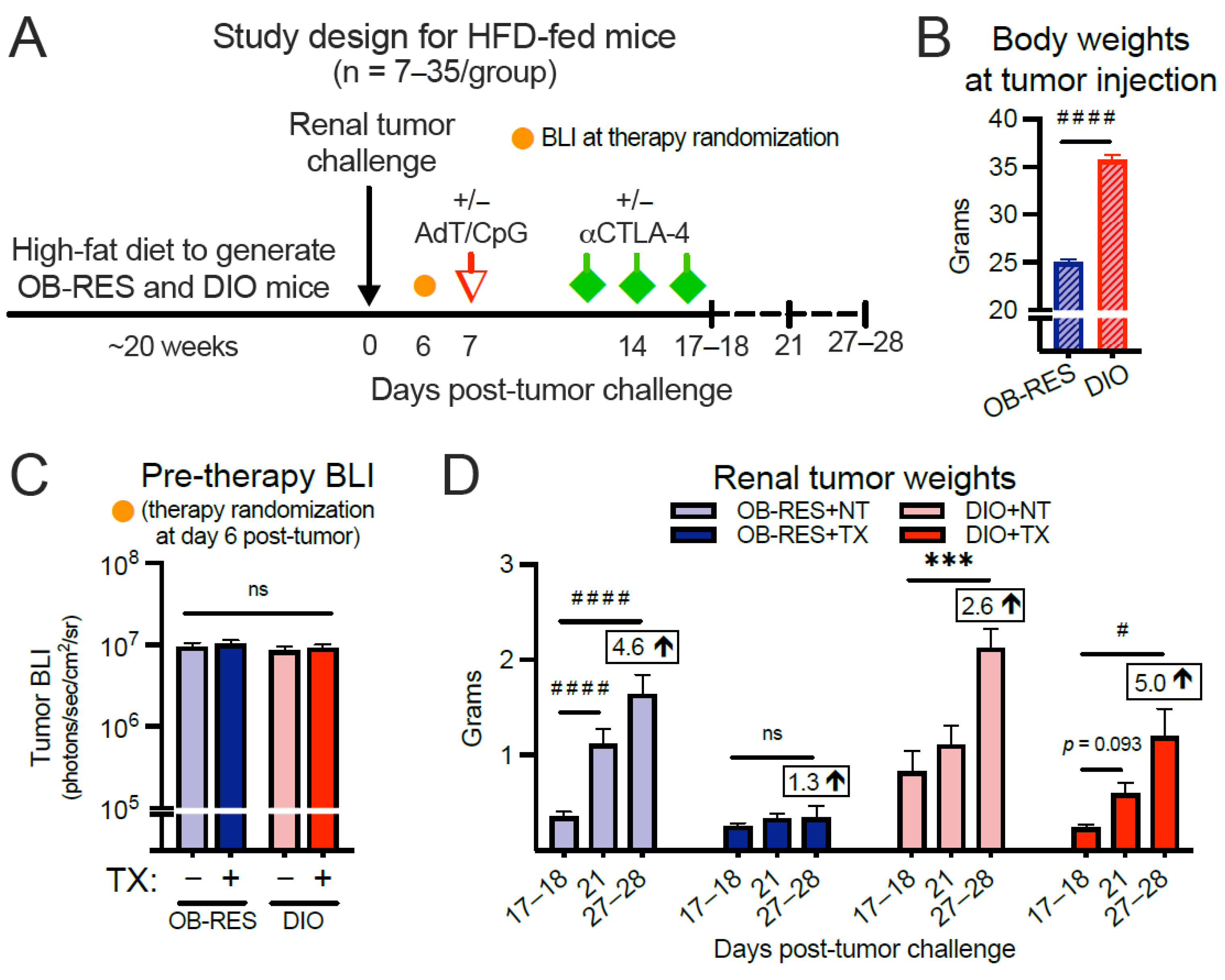 Cancers 13 02295 g002 Cancers 13 02295 g002