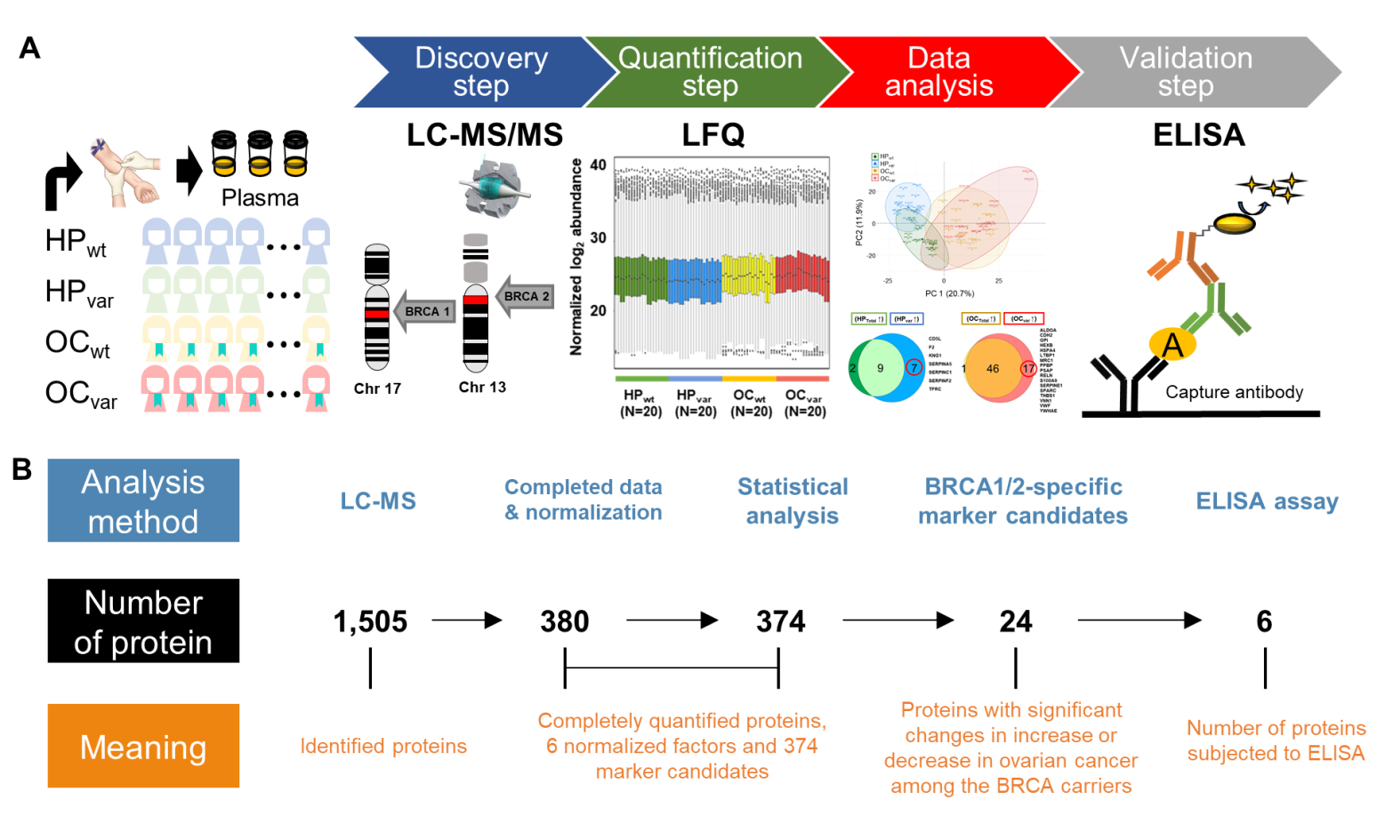 Cancers 13 02300 g001 Cancers 13 02300 g001