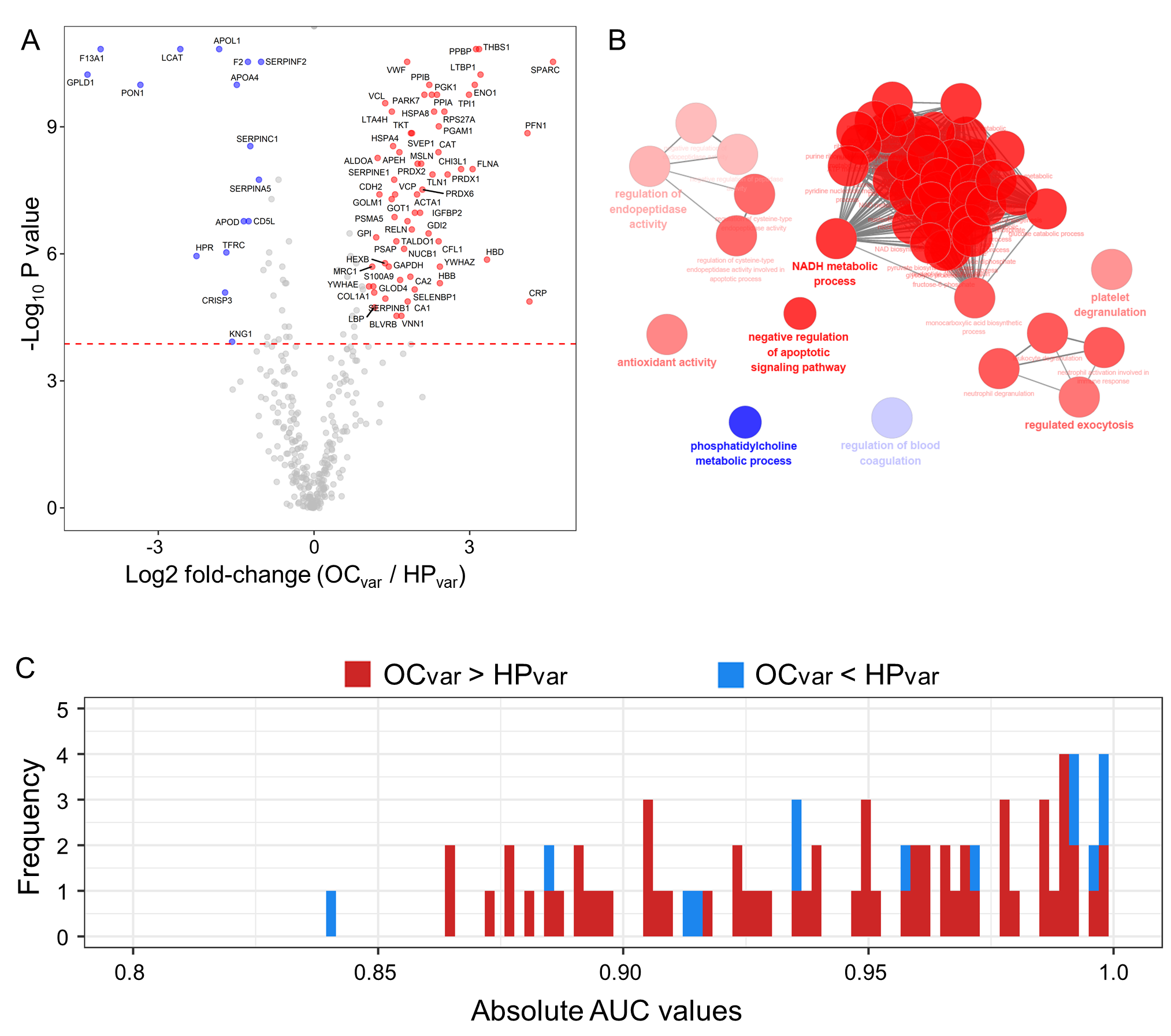 Cancers 13 02300 g004 Cancers 13 02300 g004