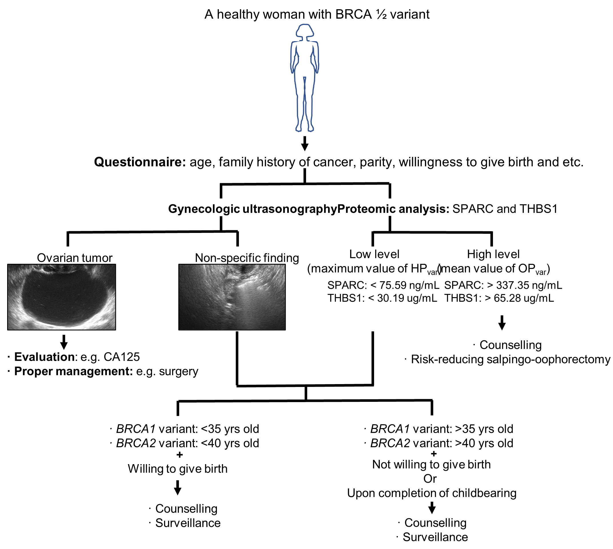 Cancers 13 02300 g007 Cancers 13 02300 g007