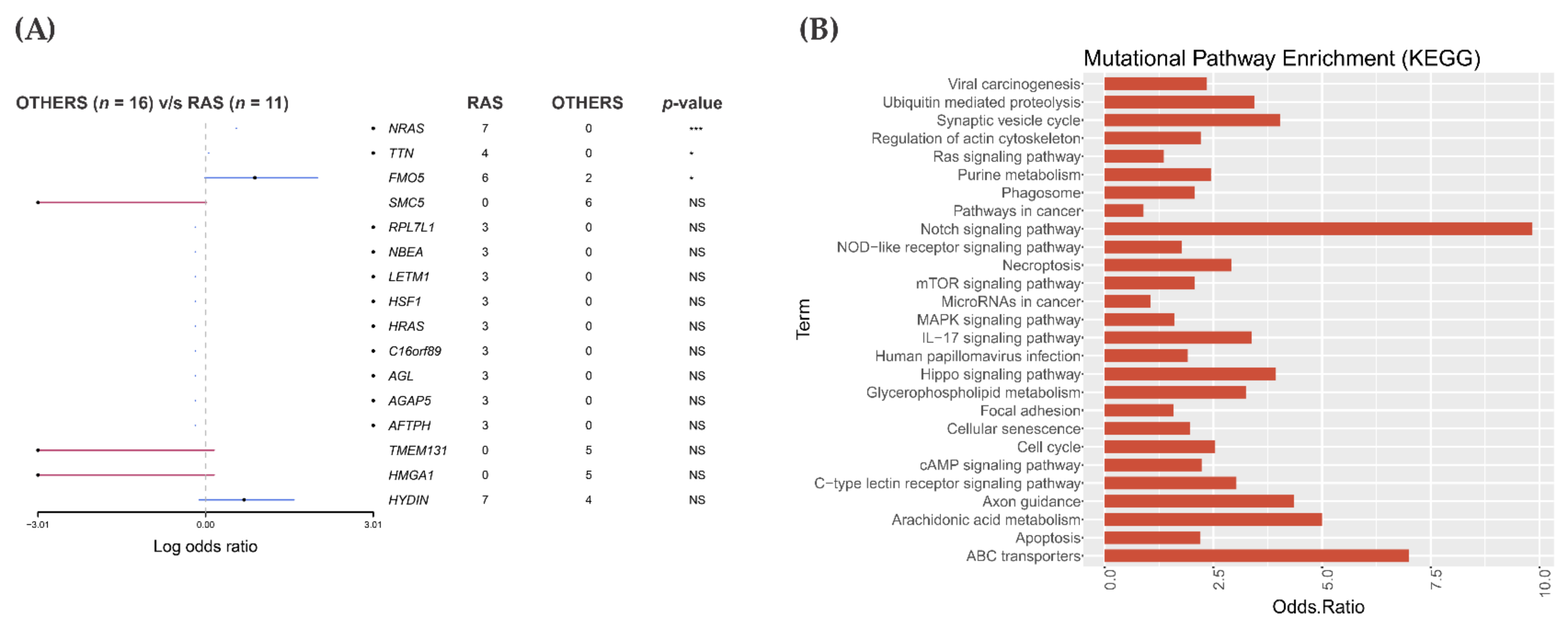 Cancers 13 02306 g002 Cancers 13 02306 g002