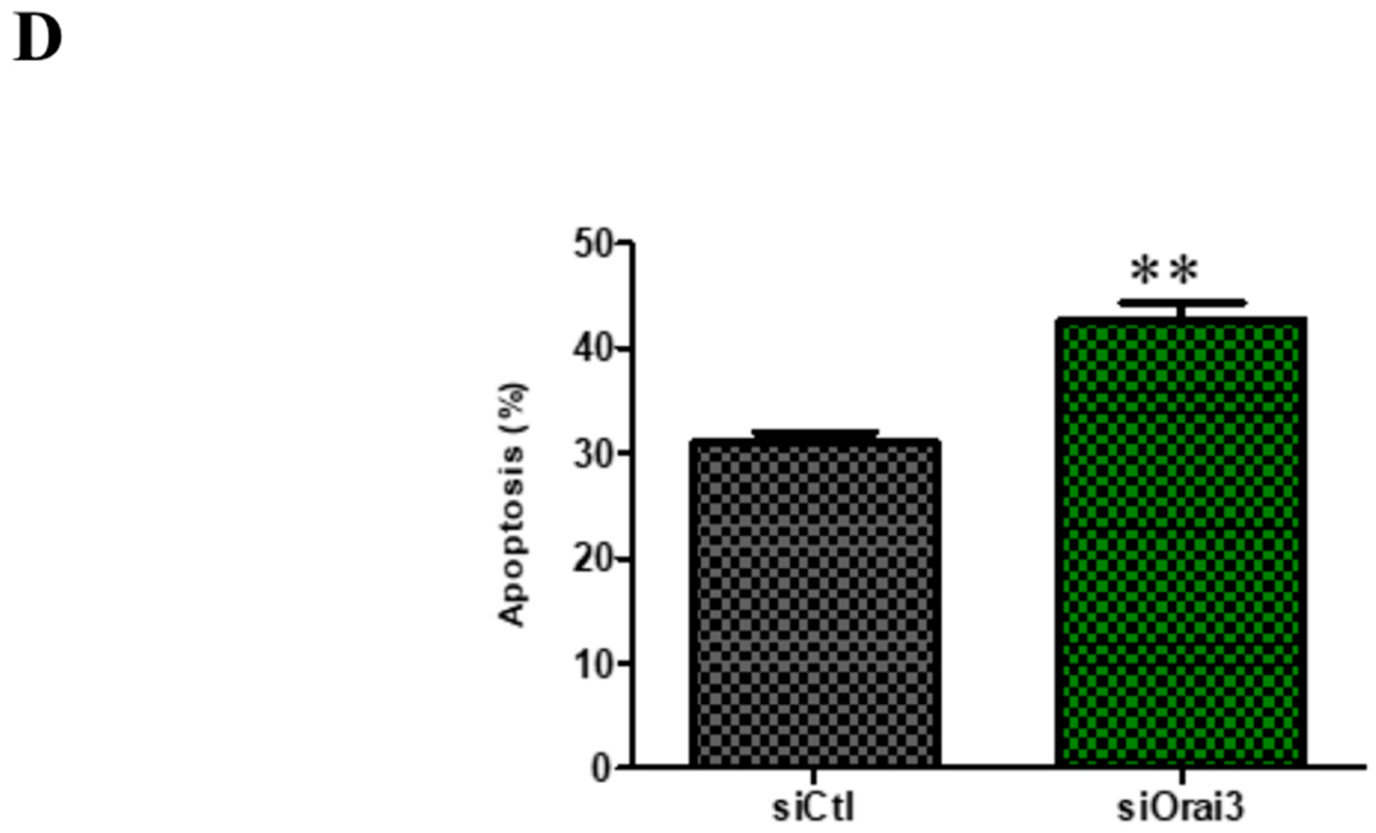 Cancers 13 02314 g008b Cancers 13 02314 g008b