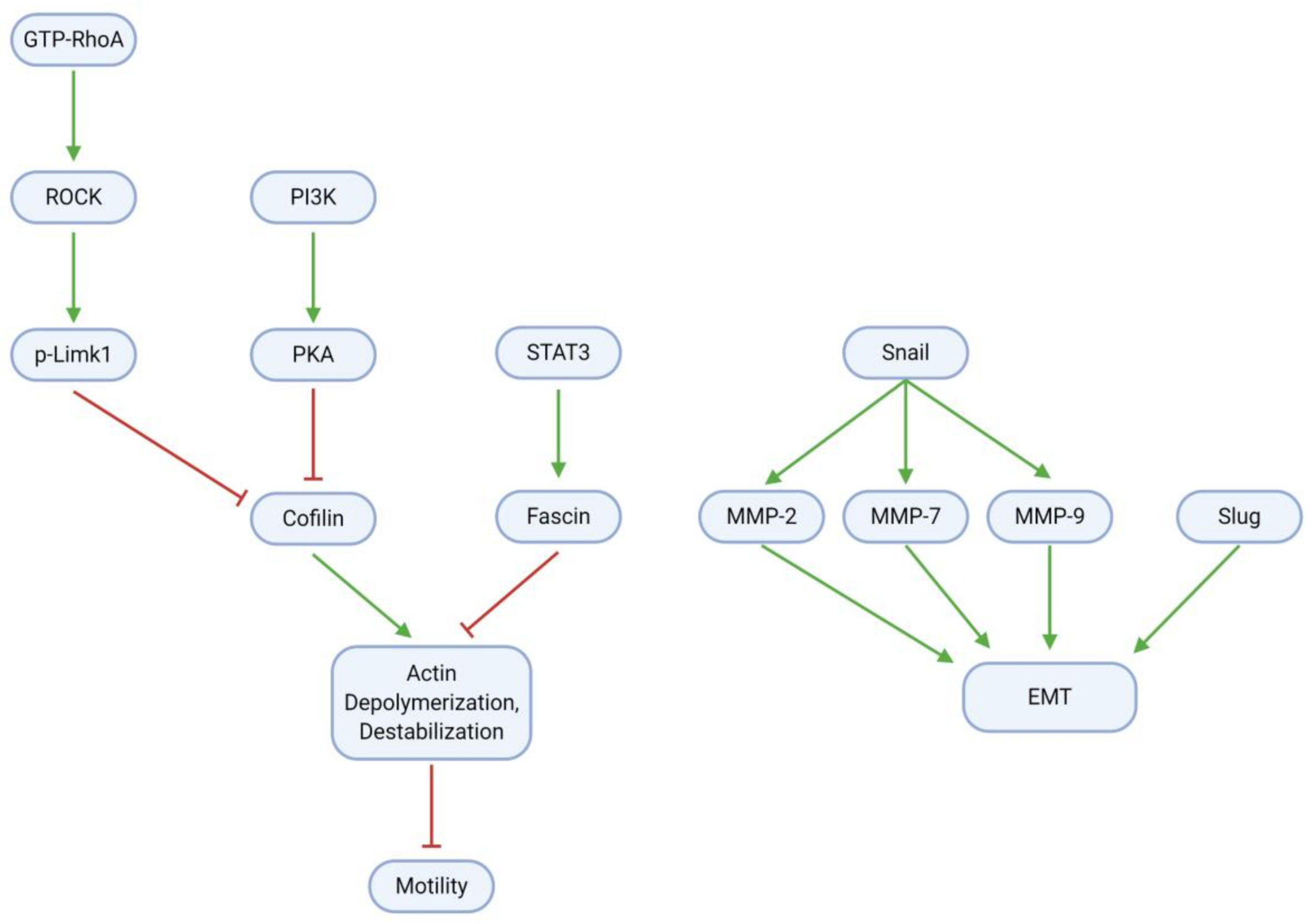 Cancers 13 02317 g008