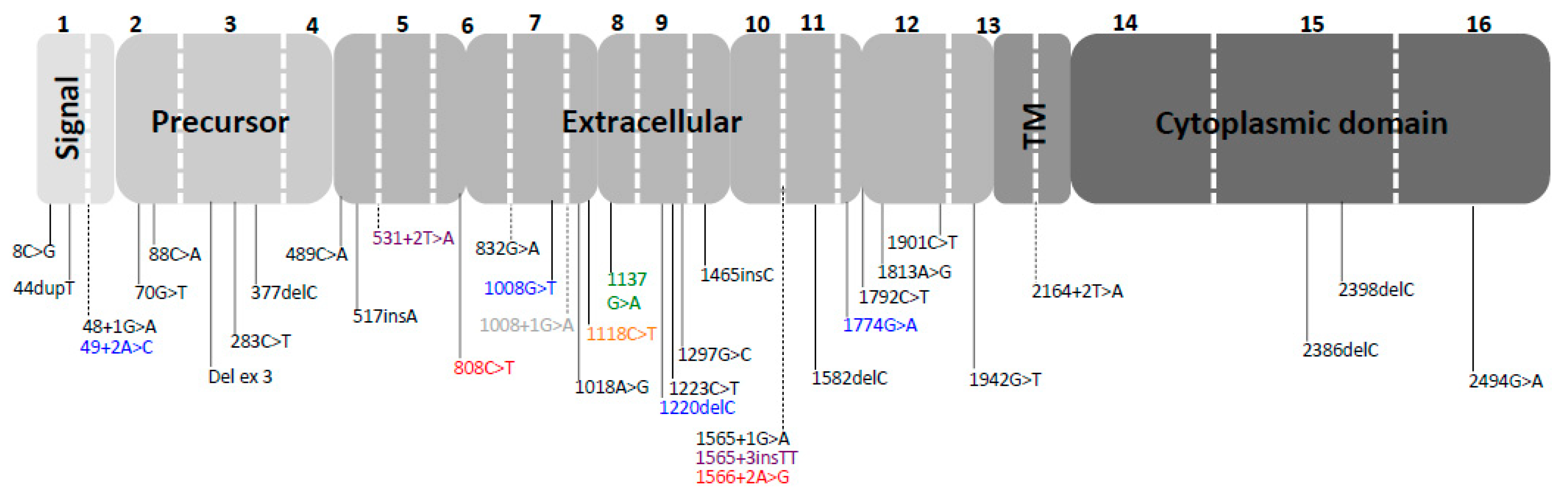 Cancers 13 02321 g002 Cancers 13 02321 g002