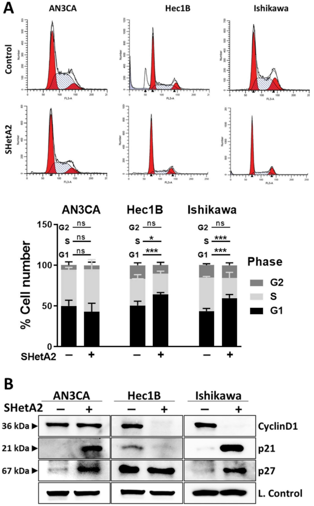 Cancers 13 02322 g002 Cancers 13 02322 g002