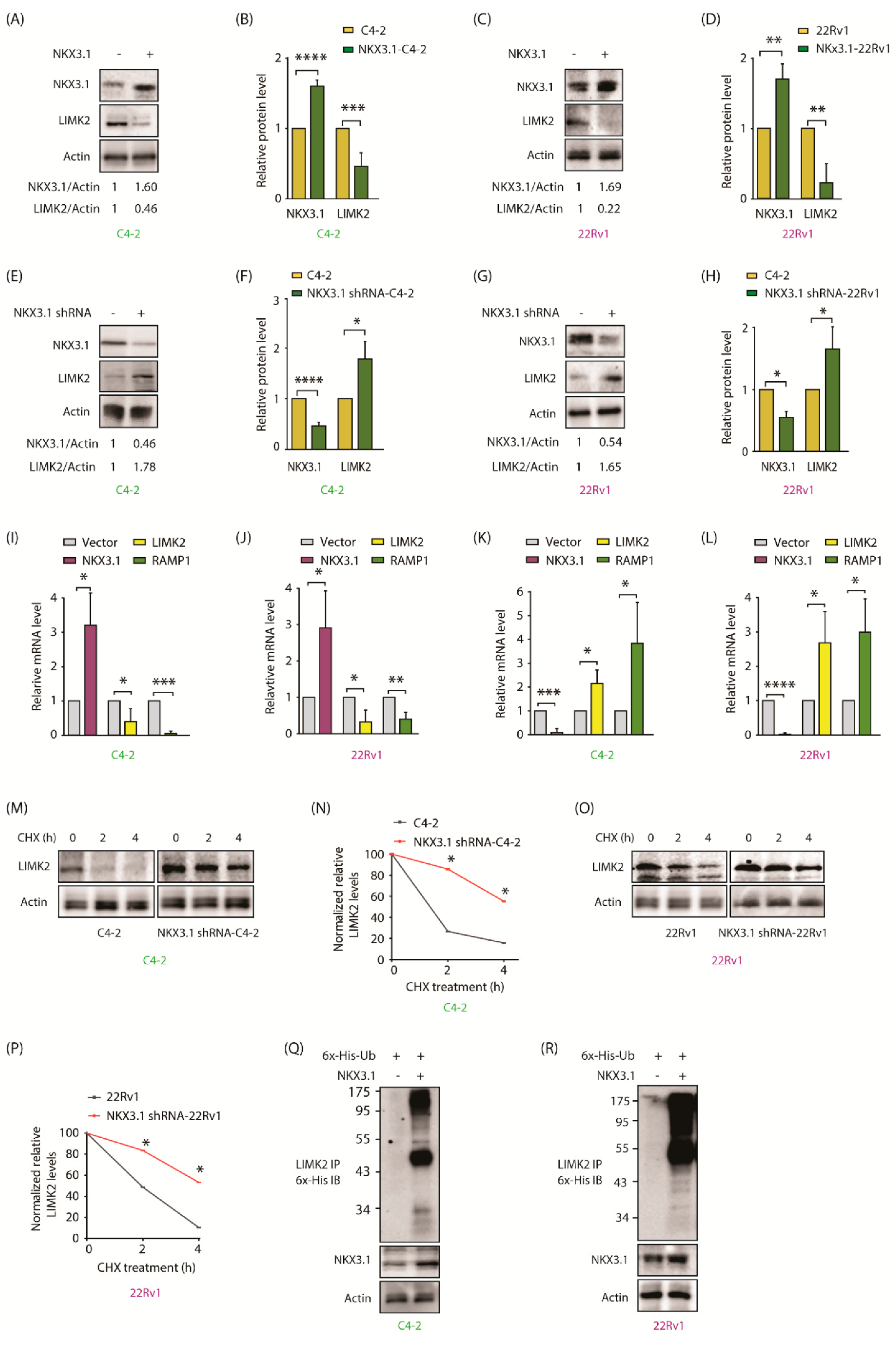 Cancers 13 02324 g003