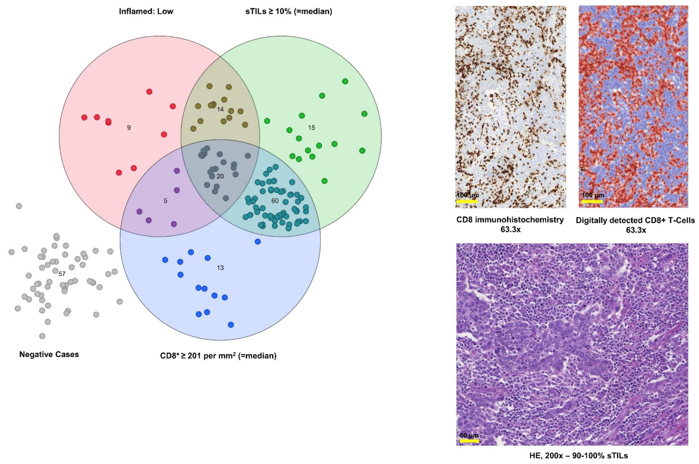 Cancers 13 02327 g005 Cancers 13 02327 g005