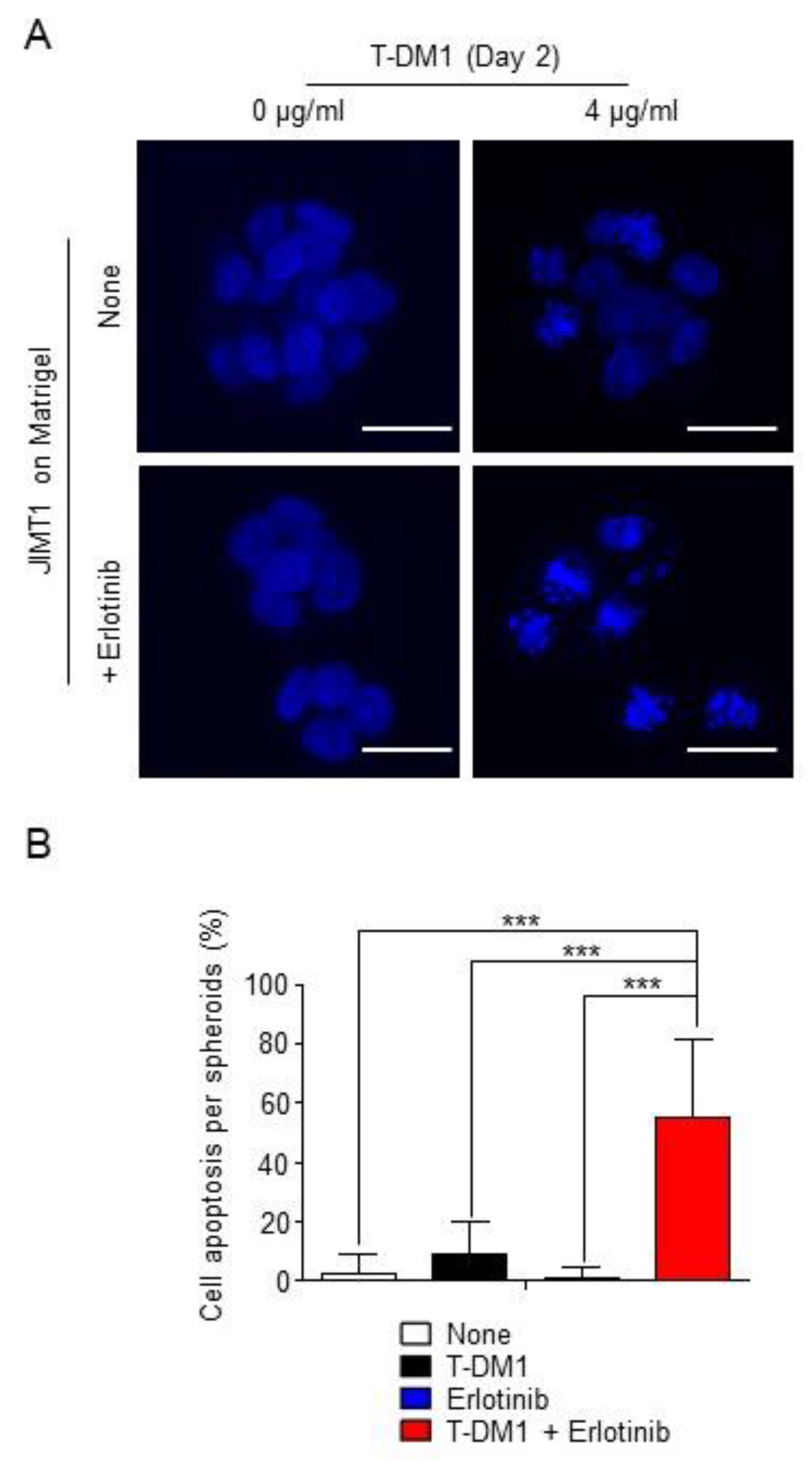 Cancers 13 02331 g004