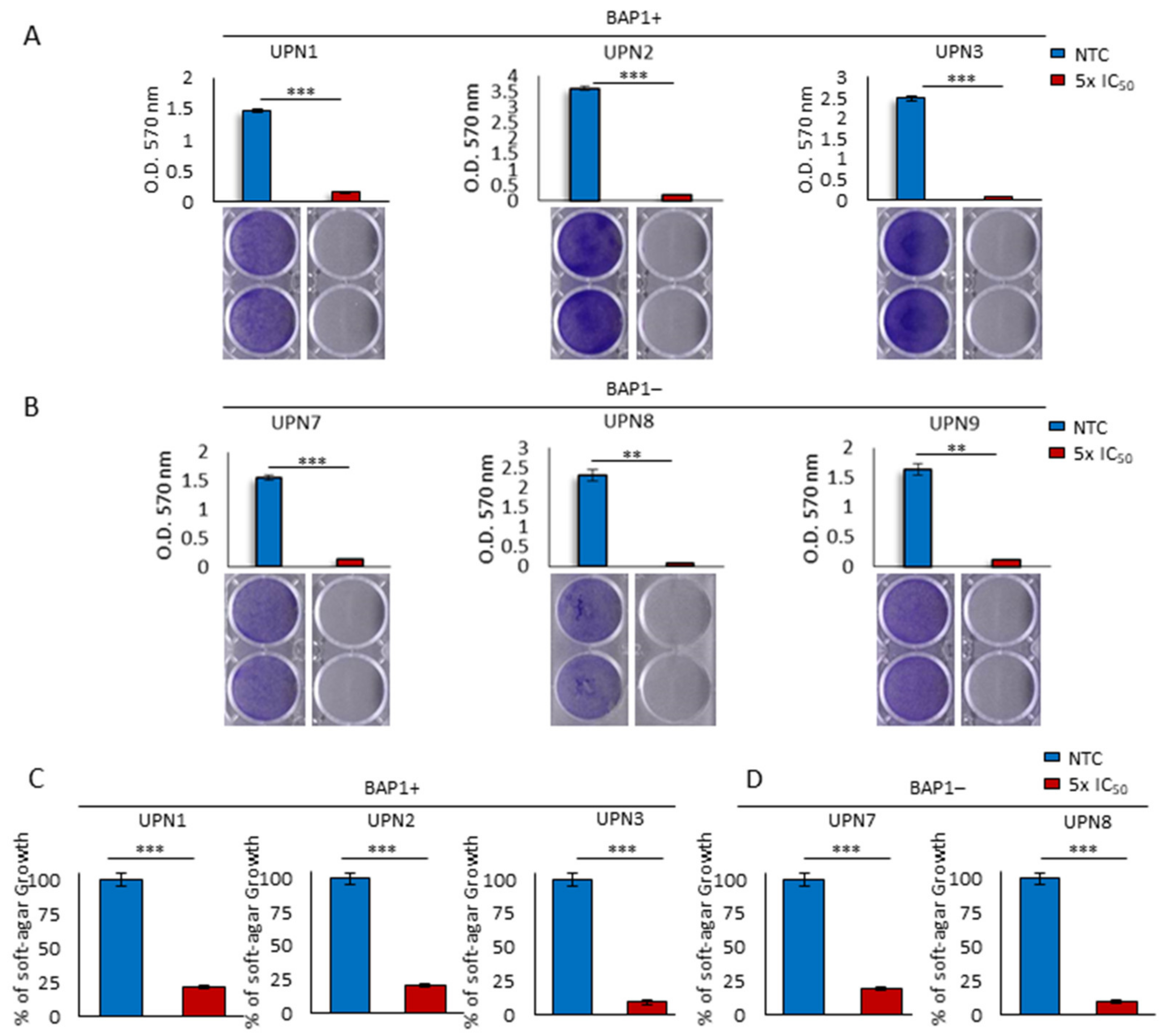 Cancers 13 02332 g003 Cancers 13 02332 g003
