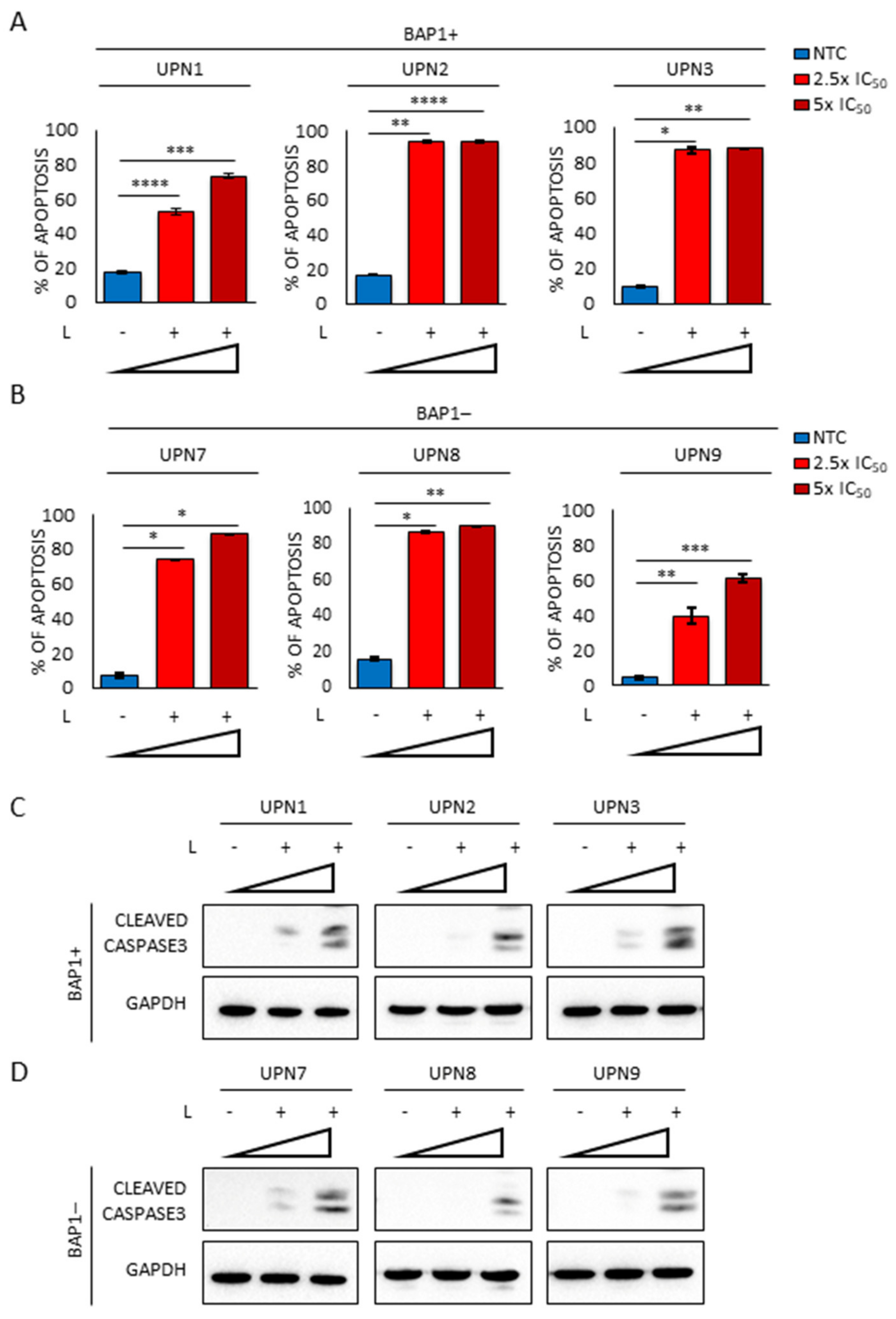 Cancers 13 02332 g006 Cancers 13 02332 g006
