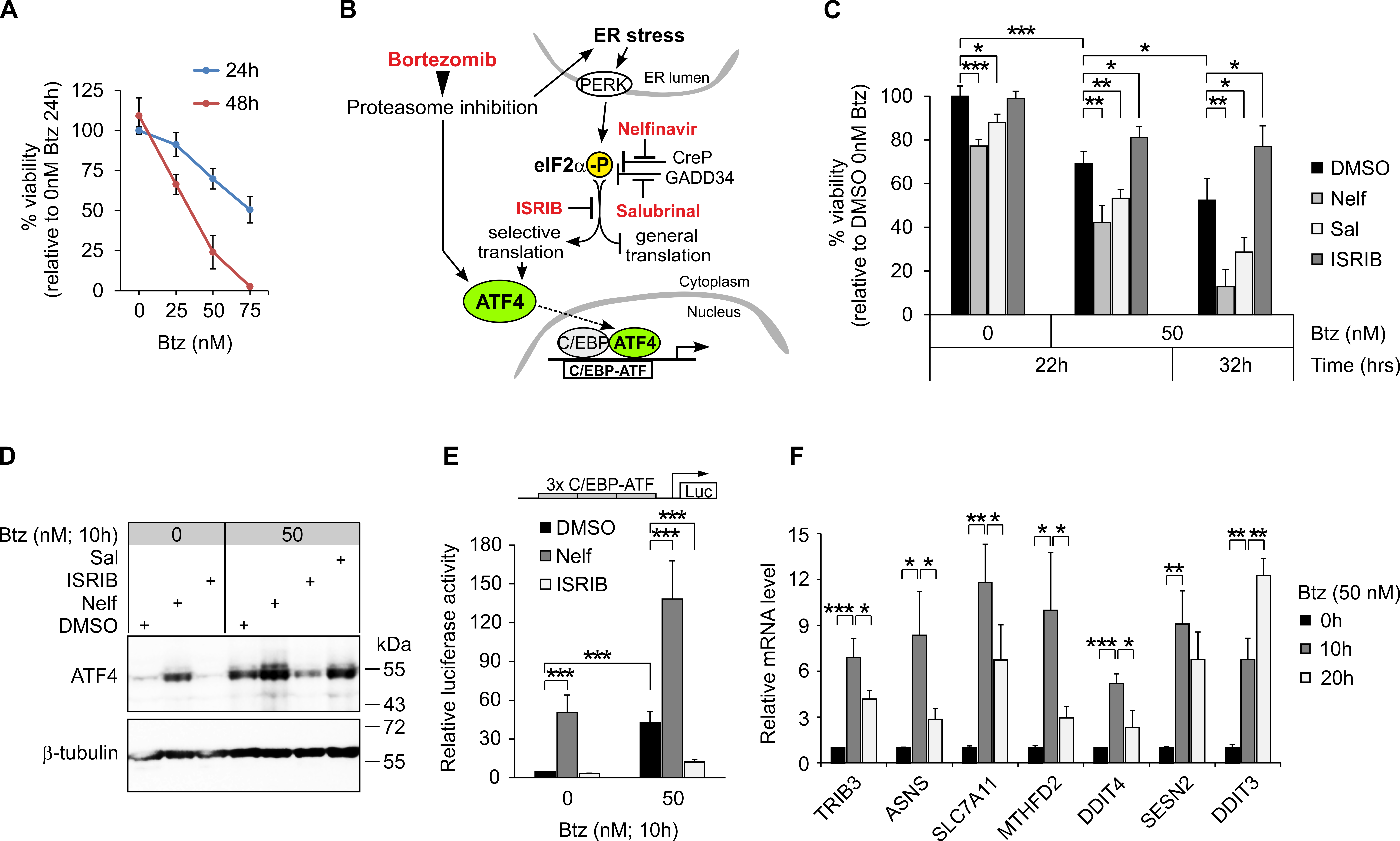 Cancers 13 02341 g001