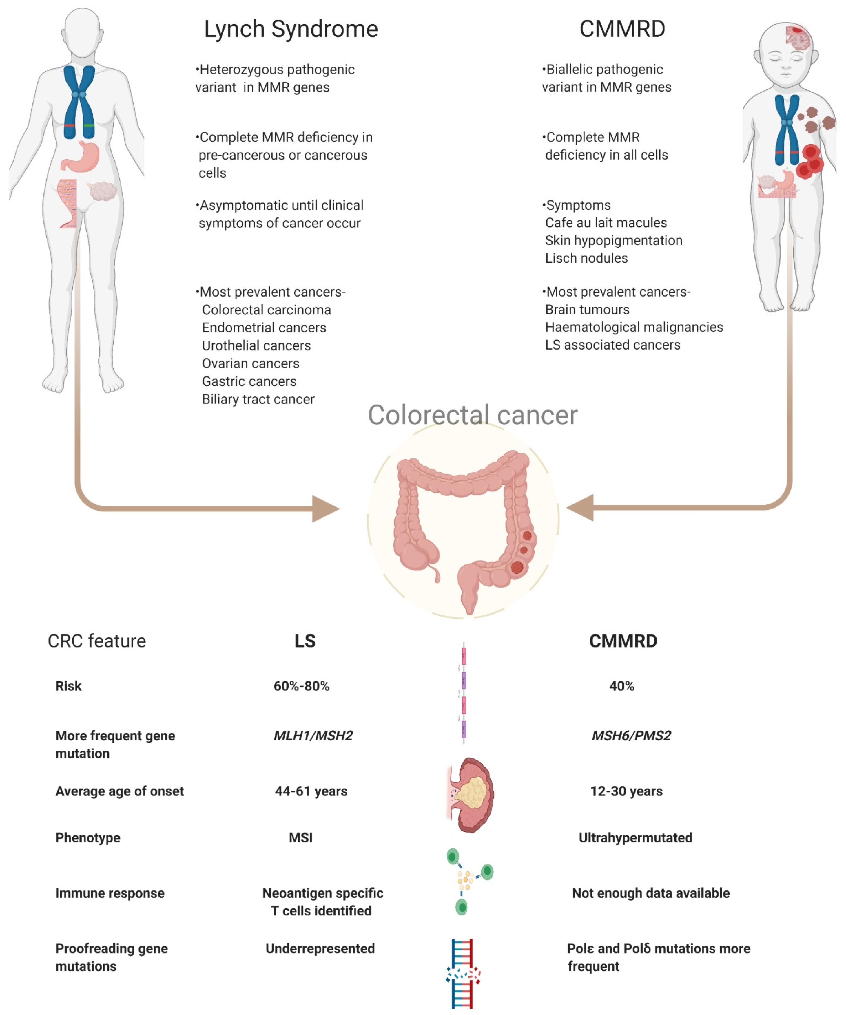 lynch syndrome