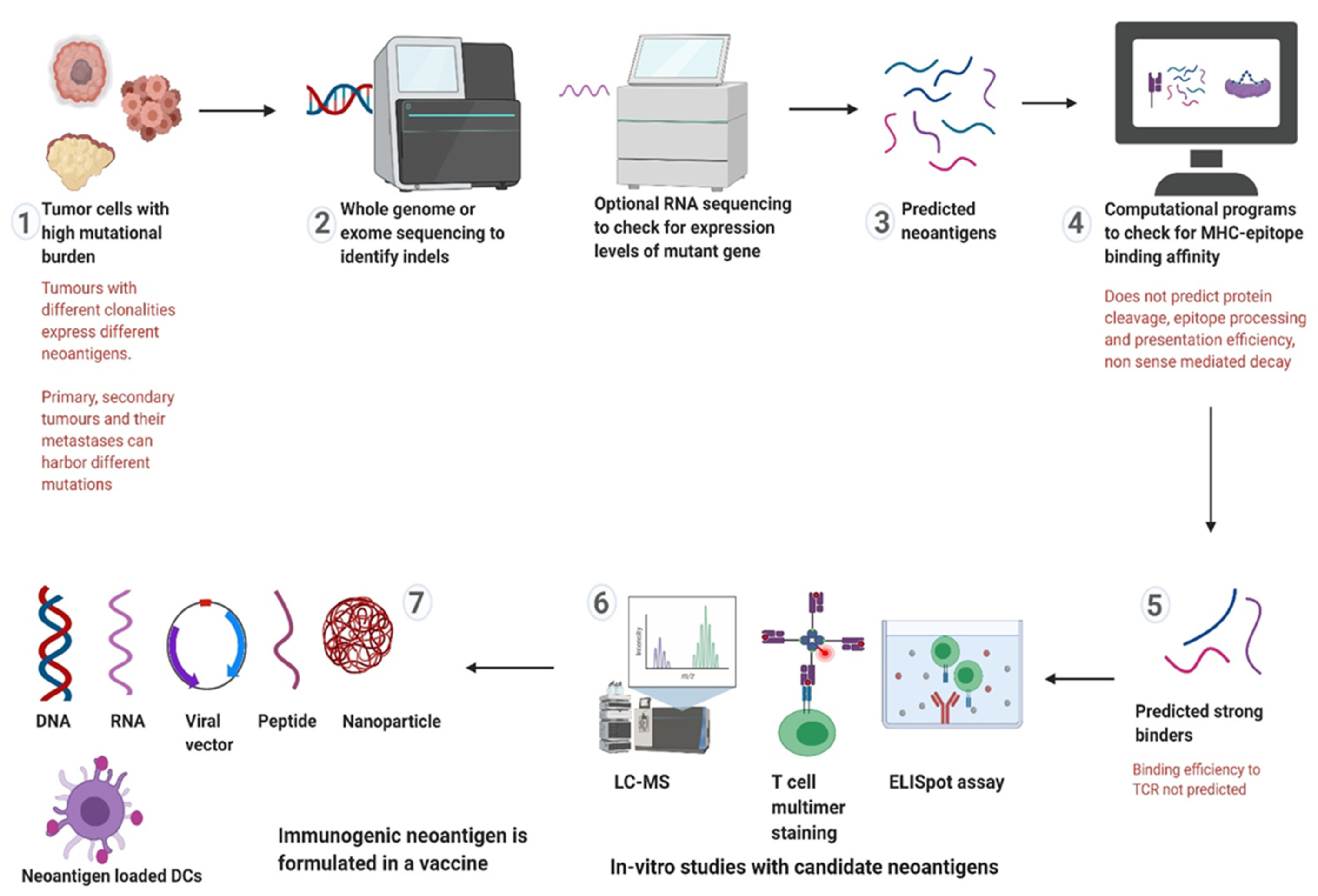 Cancers 13 02345 g003