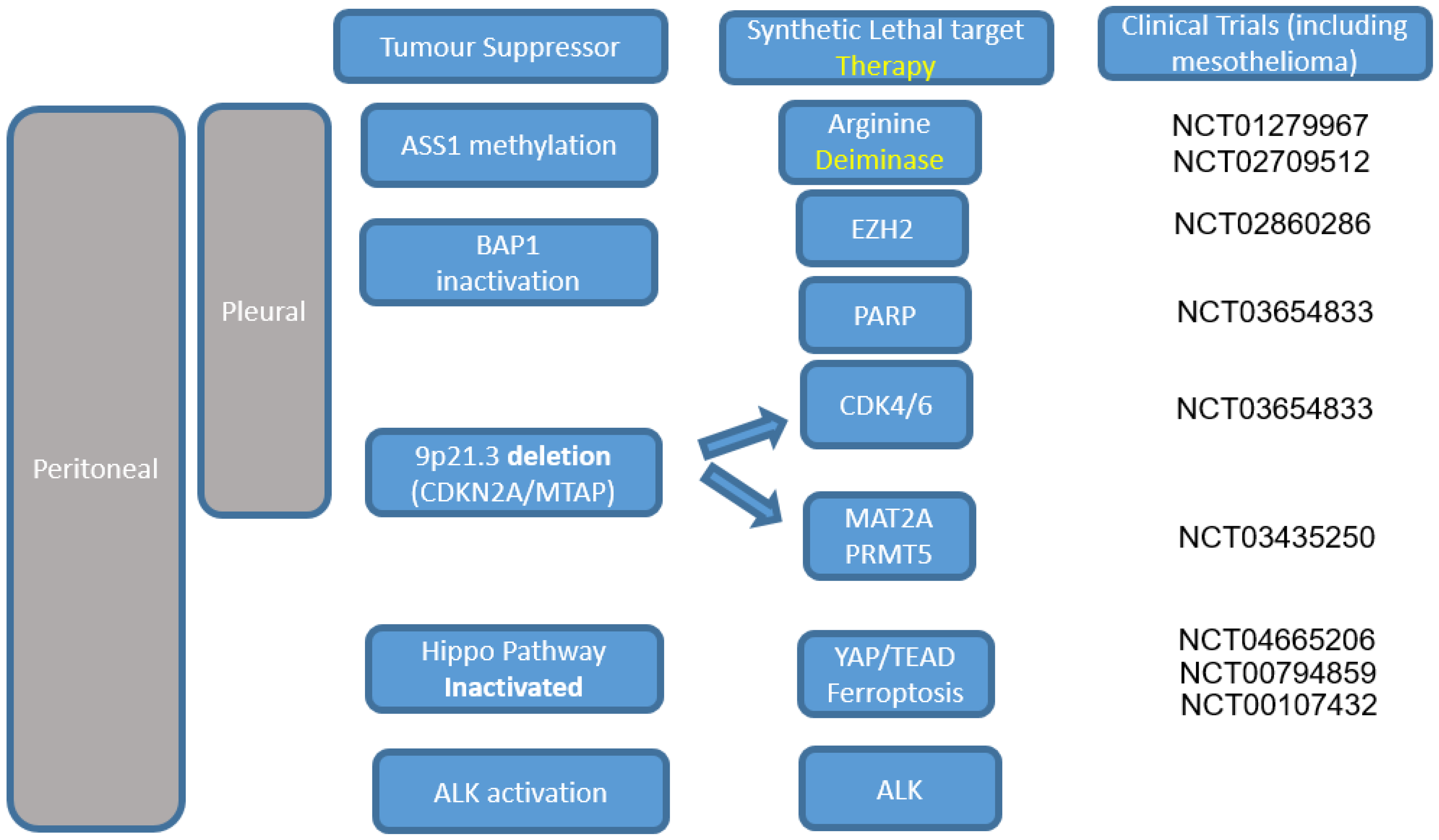 malignant pleural effusion pathophysiology