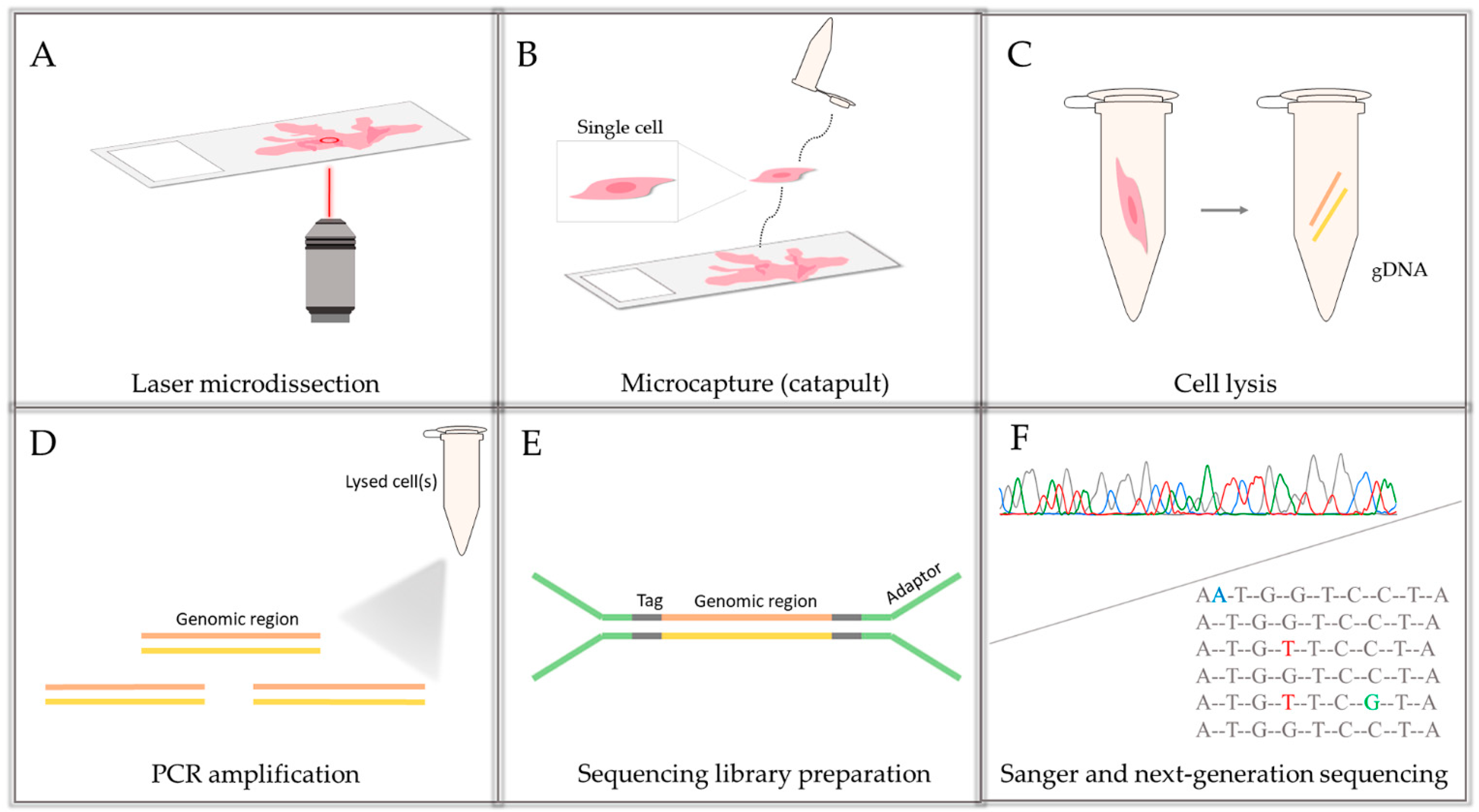 Cancers 13 02354 g001 Cancers 13 02354 g001