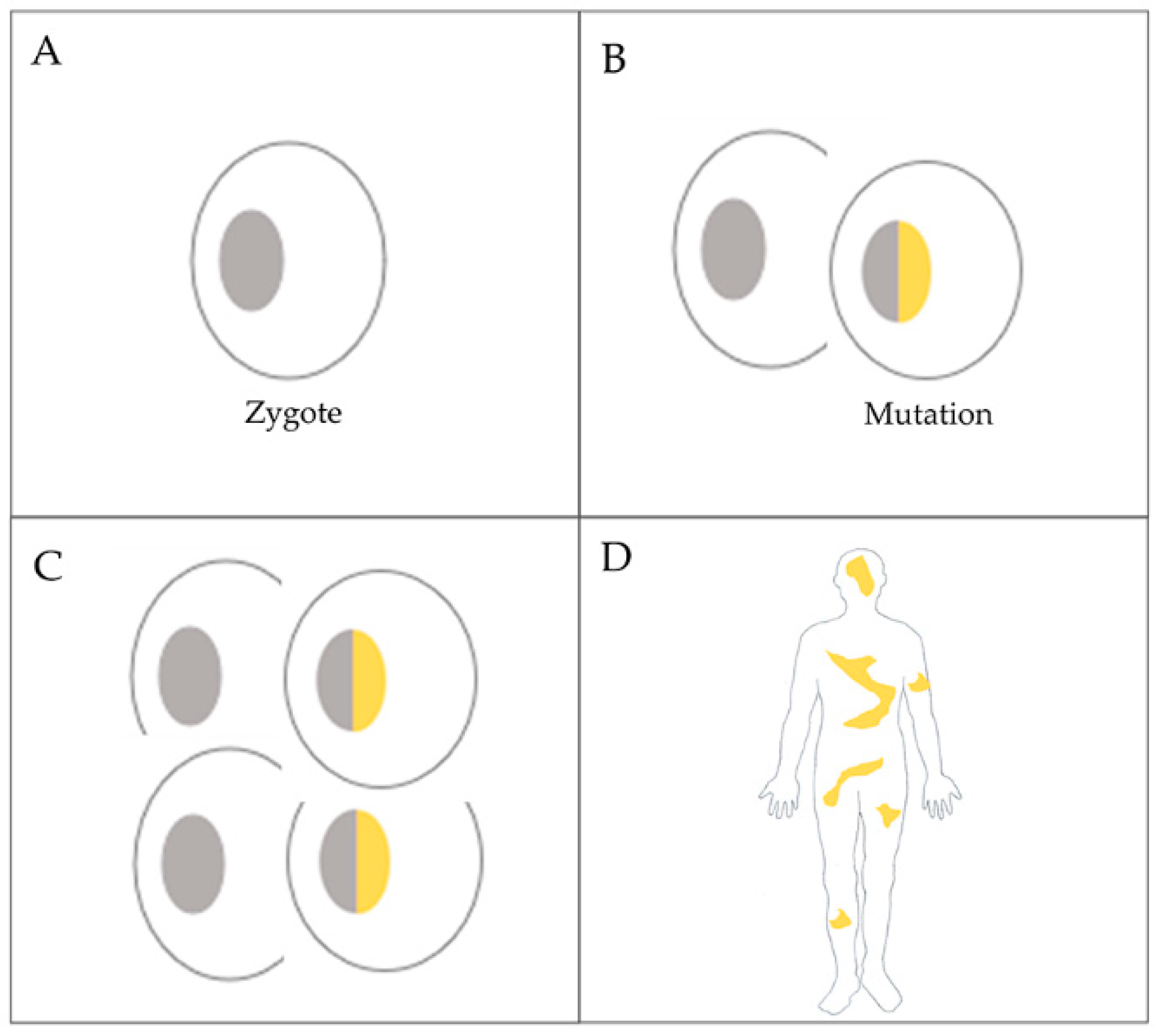 Cancers 13 02354 g002 Cancers 13 02354 g002