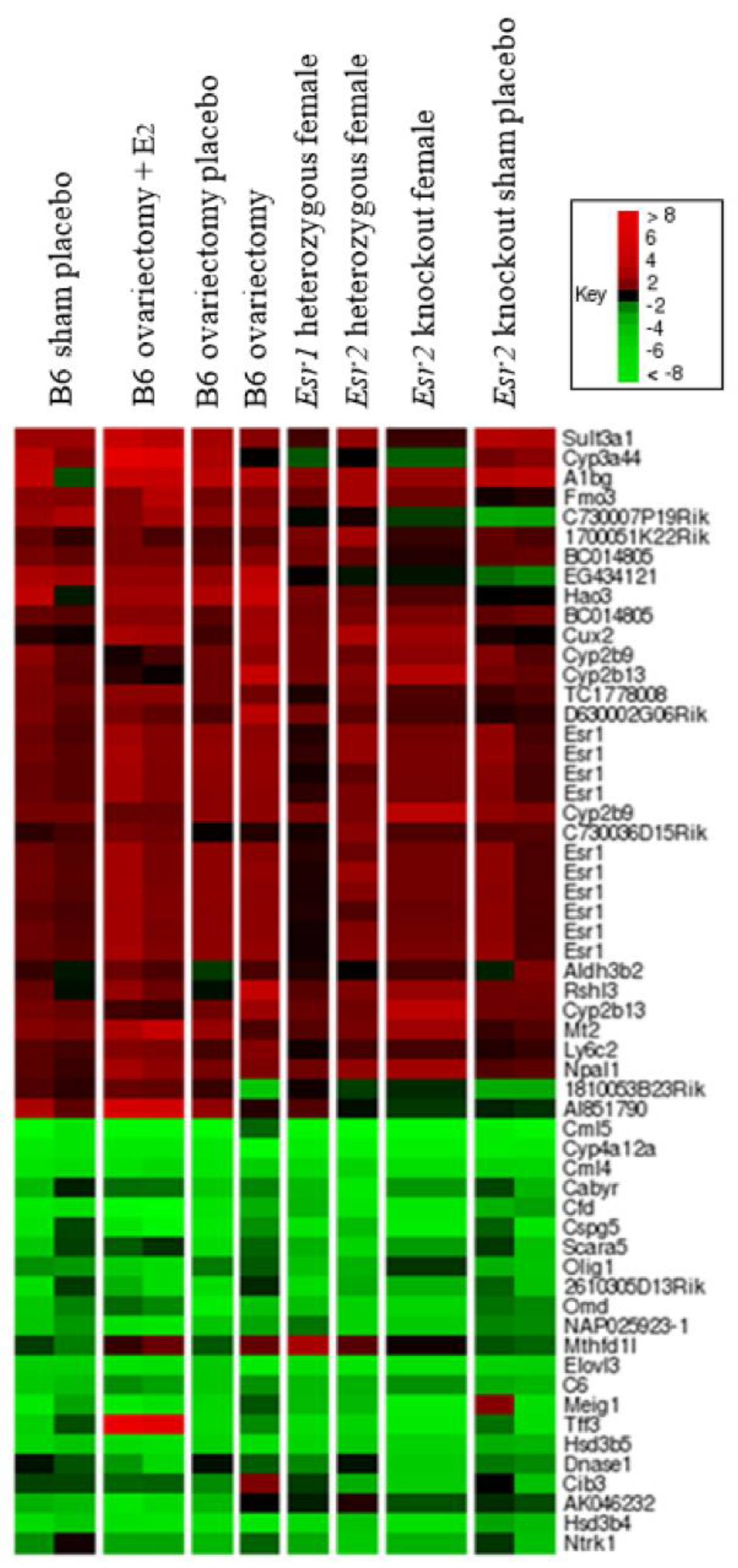 Cancers 13 02355 g004 Cancers 13 02355 g004