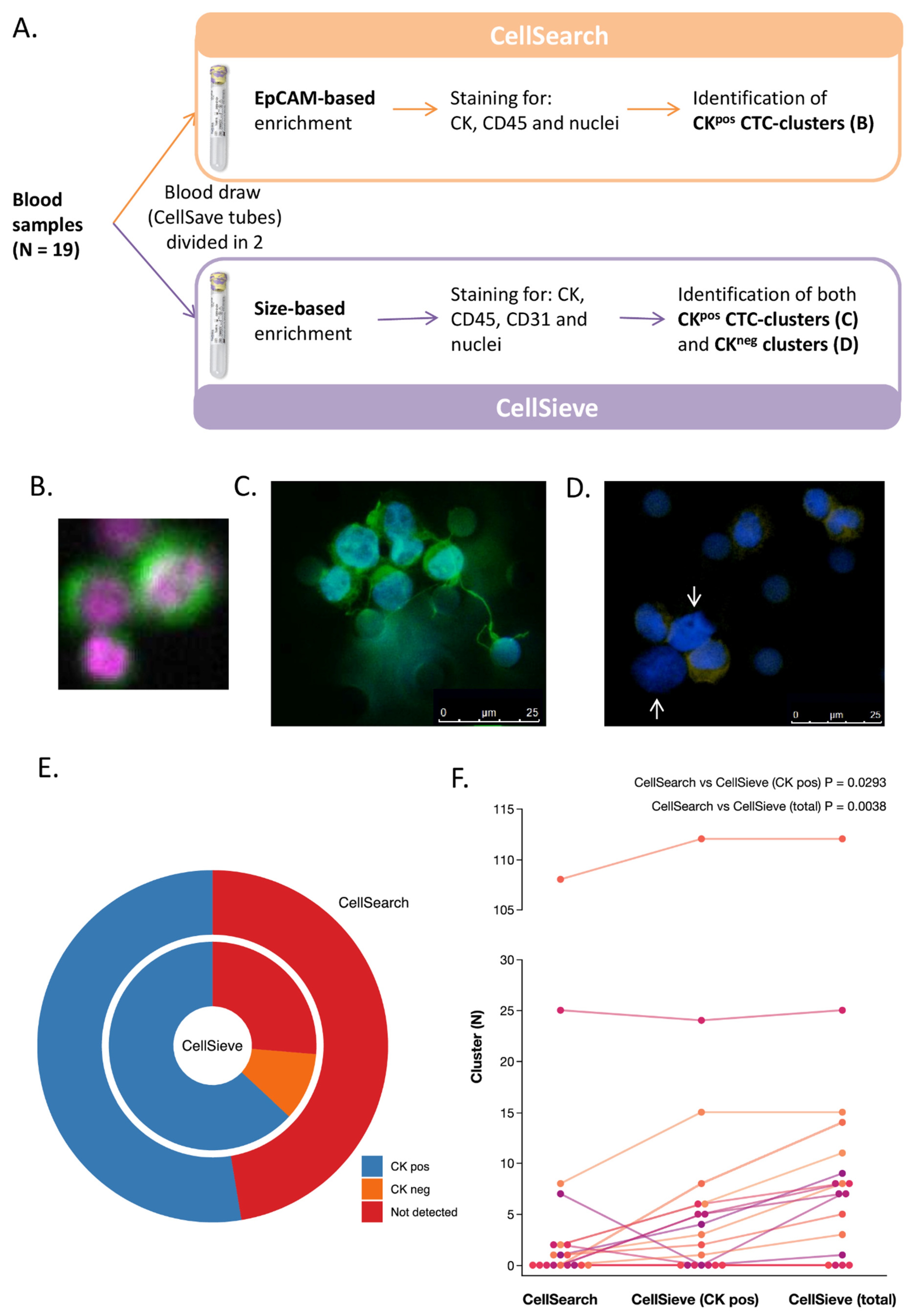 Cancers 13 02356 g001 Cancers 13 02356 g001