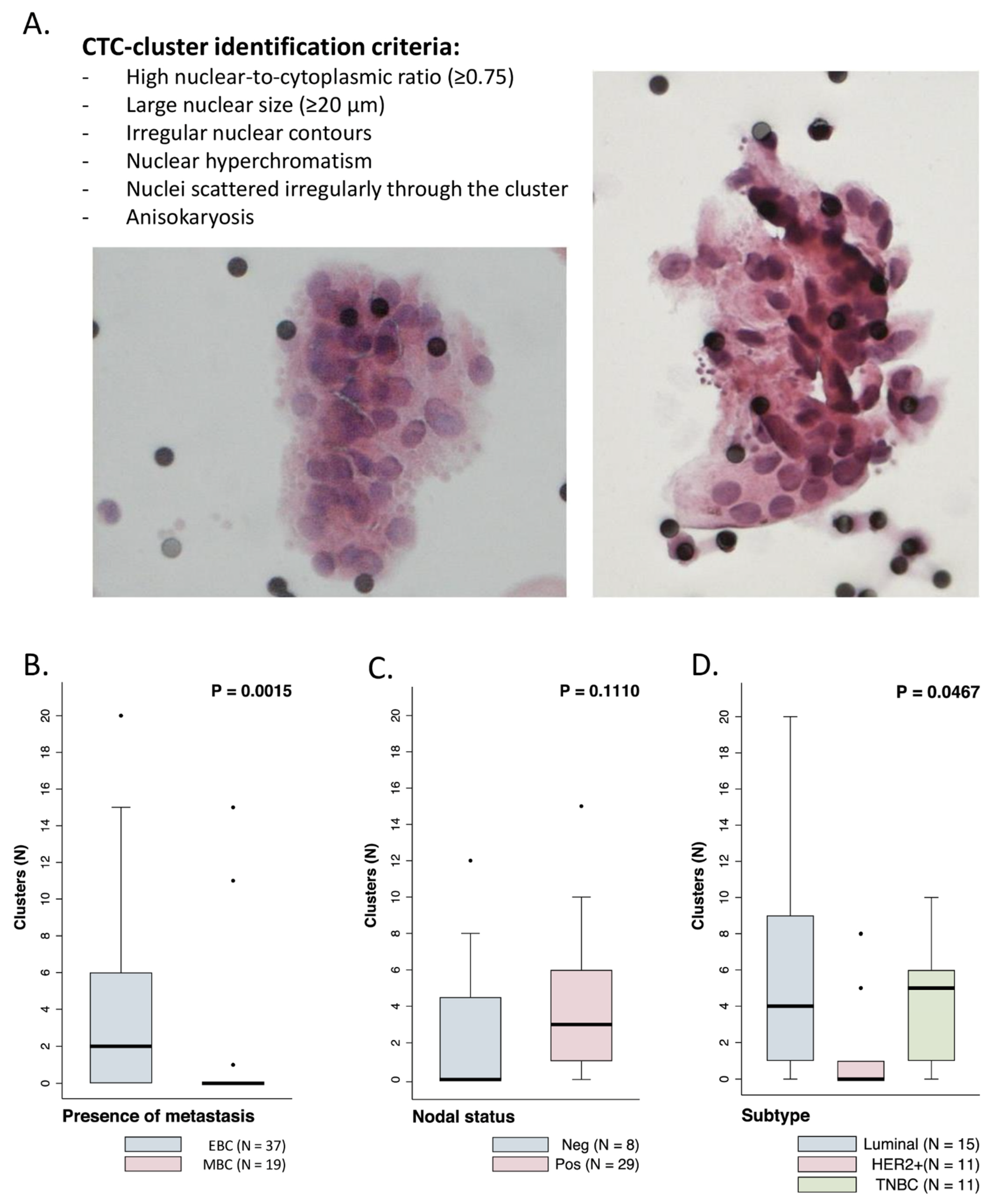 Cancers 13 02356 g002 Cancers 13 02356 g002