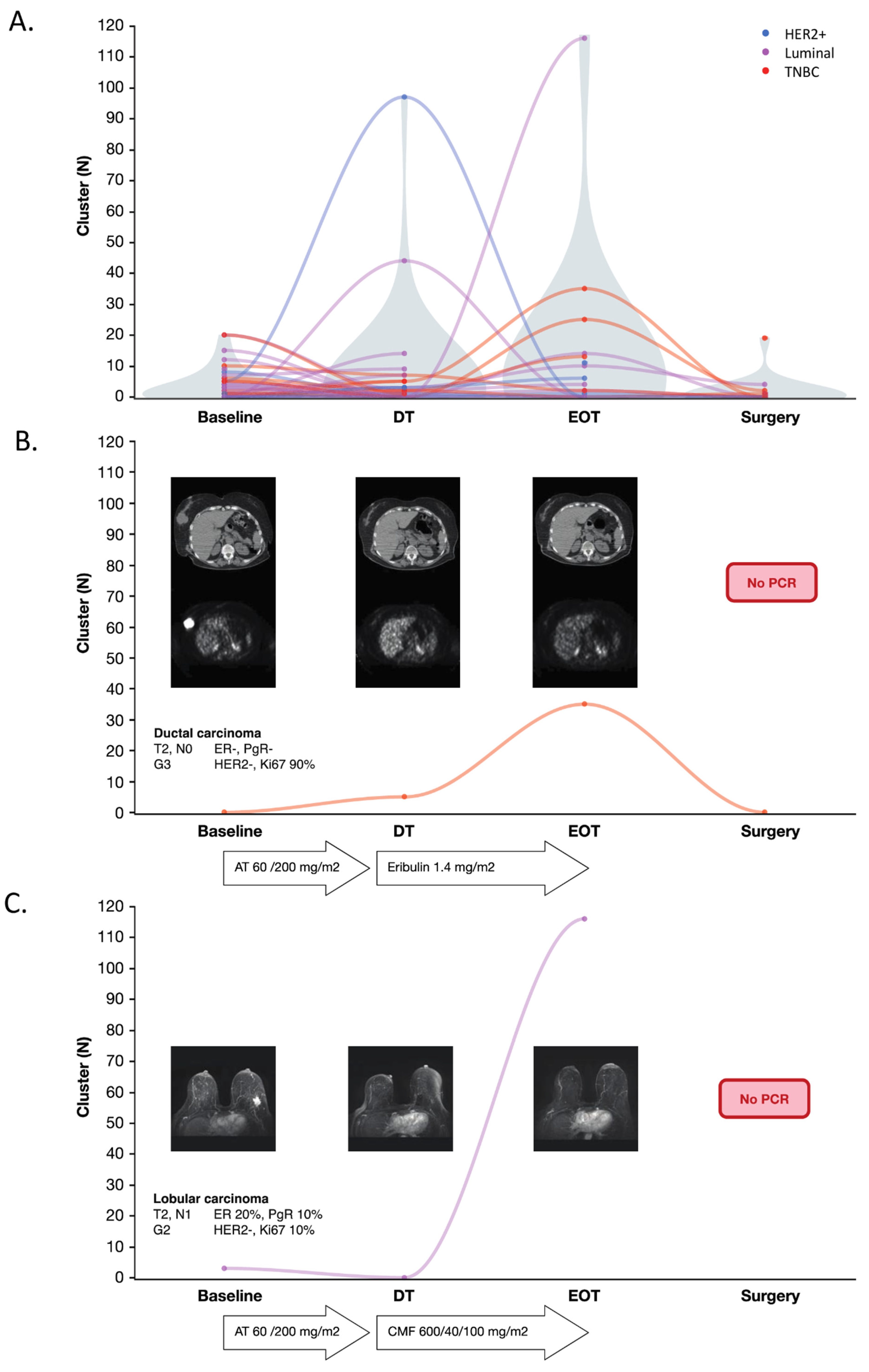 Cancers 13 02356 g004 Cancers 13 02356 g004