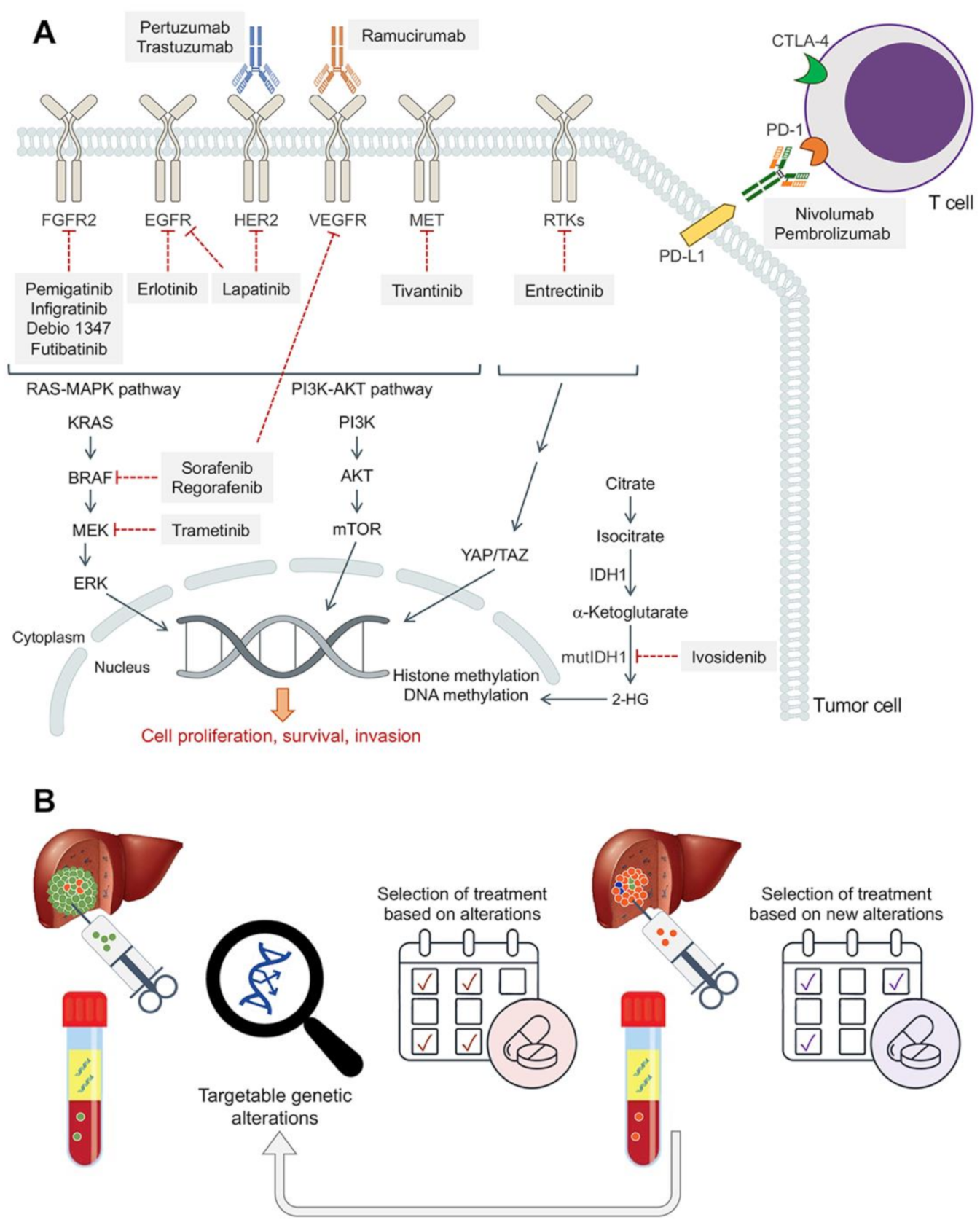 Cancers 13 02358 g002 Cancers 13 02358 g002